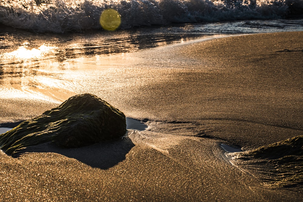 a rock on a beach