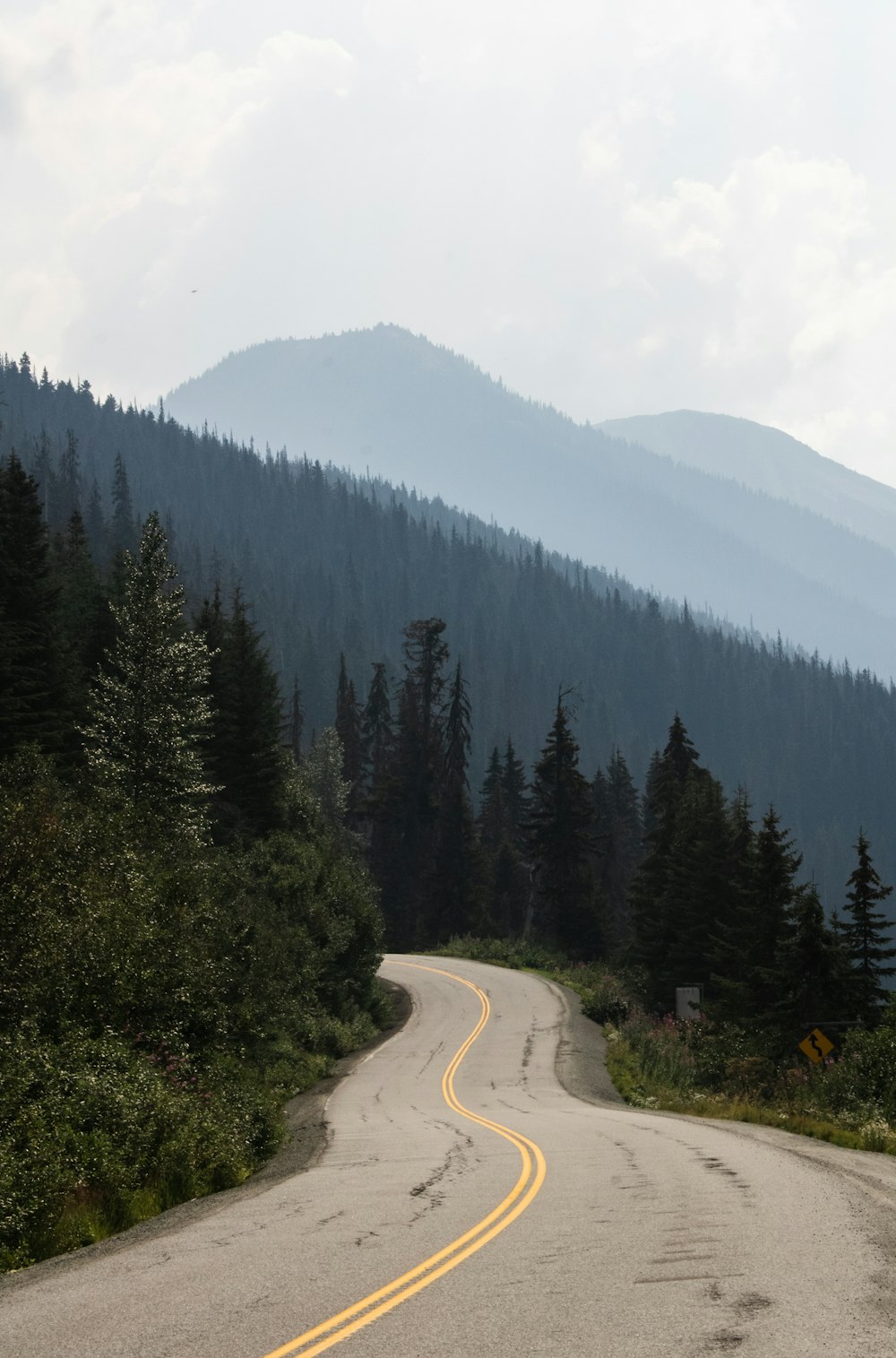 a road with trees on the side