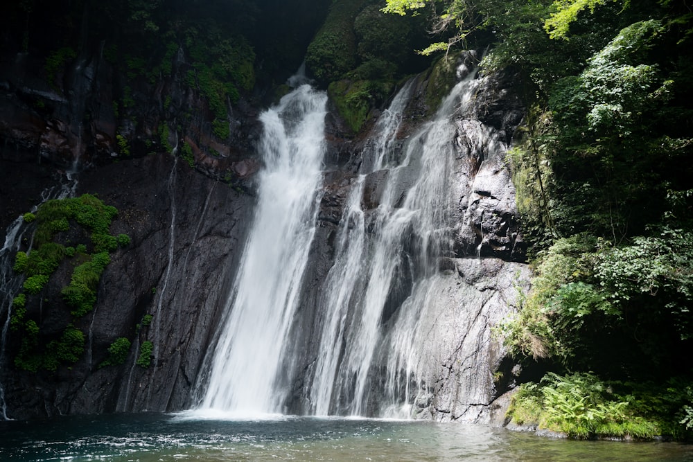 a waterfall in a forest