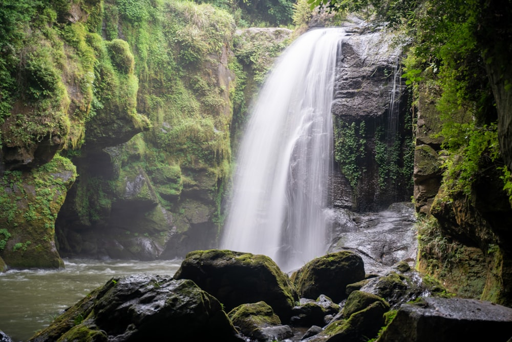 a waterfall in a forest