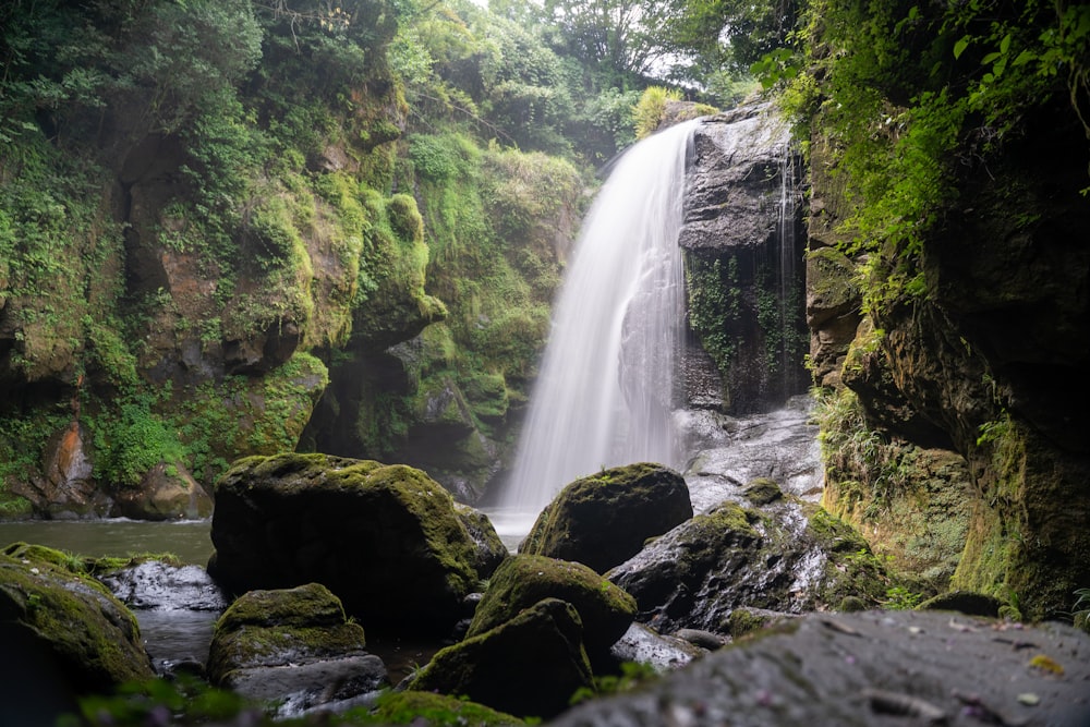 a waterfall in a forest