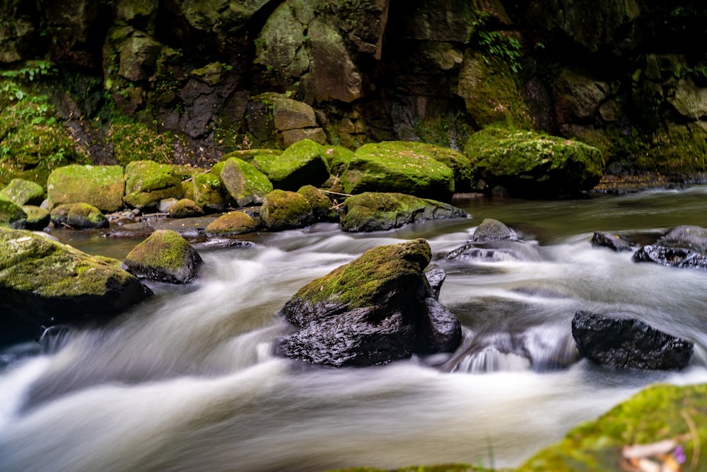 a river with rocks and moss