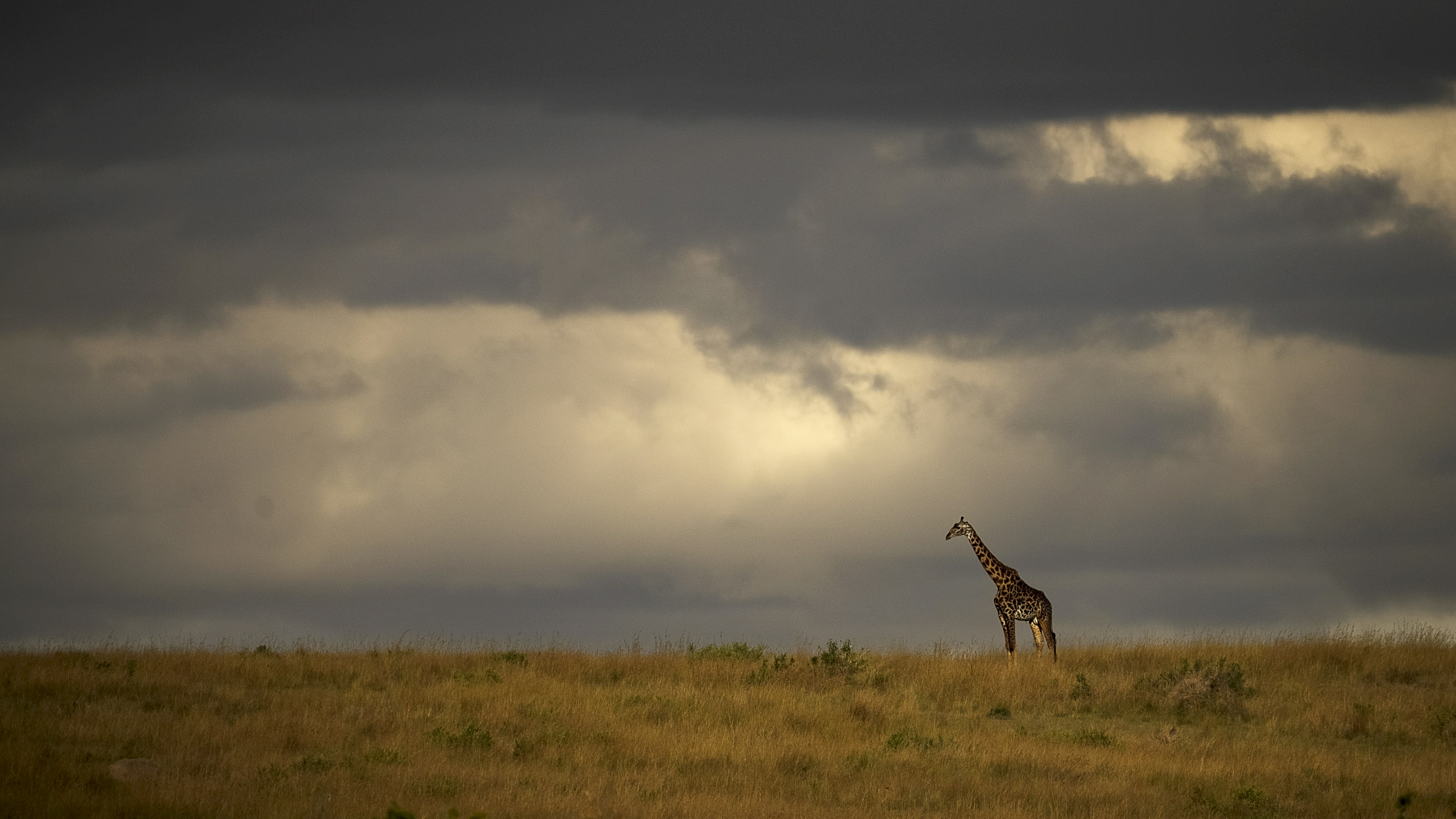 Photo by rohit_varma