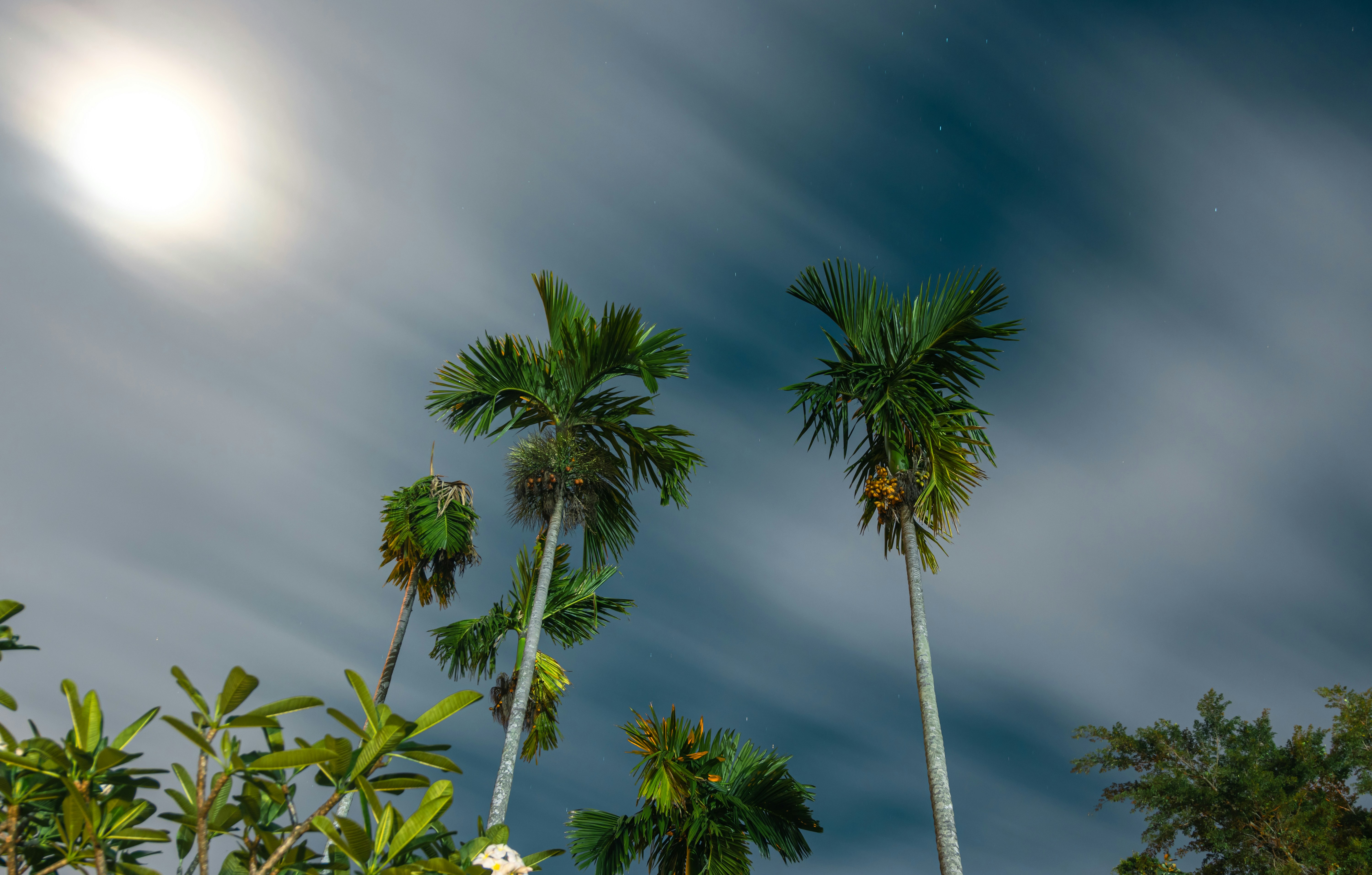 Photo by usukhbaatar