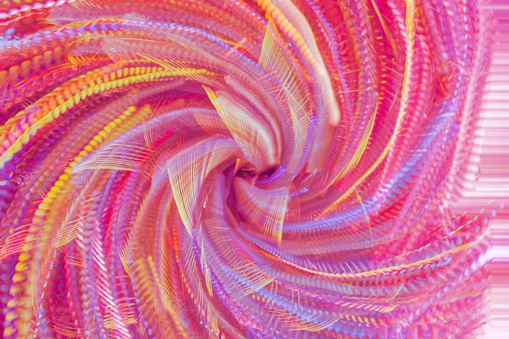 a close up of a colorful feather