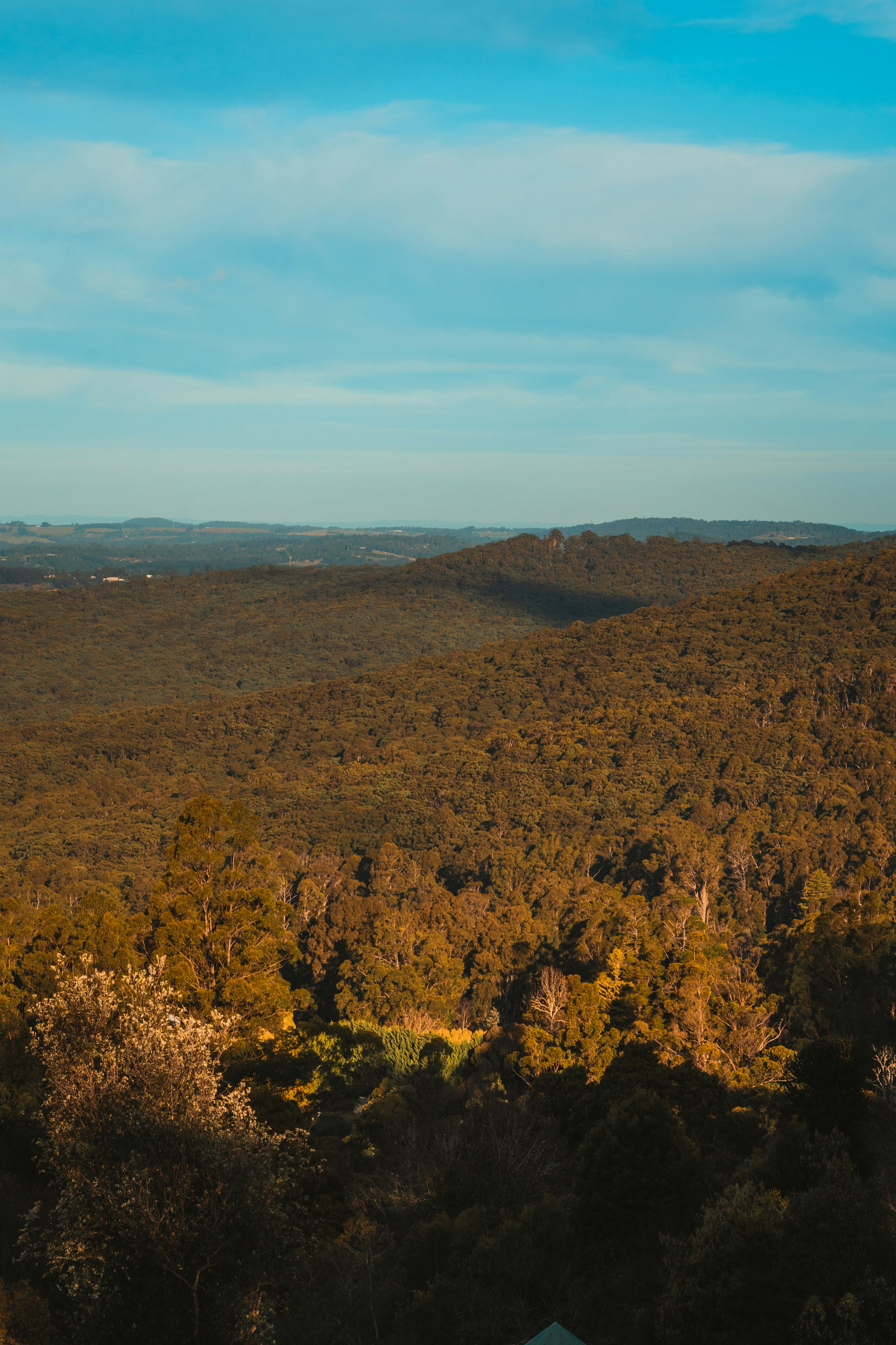 Photo by winstontjia