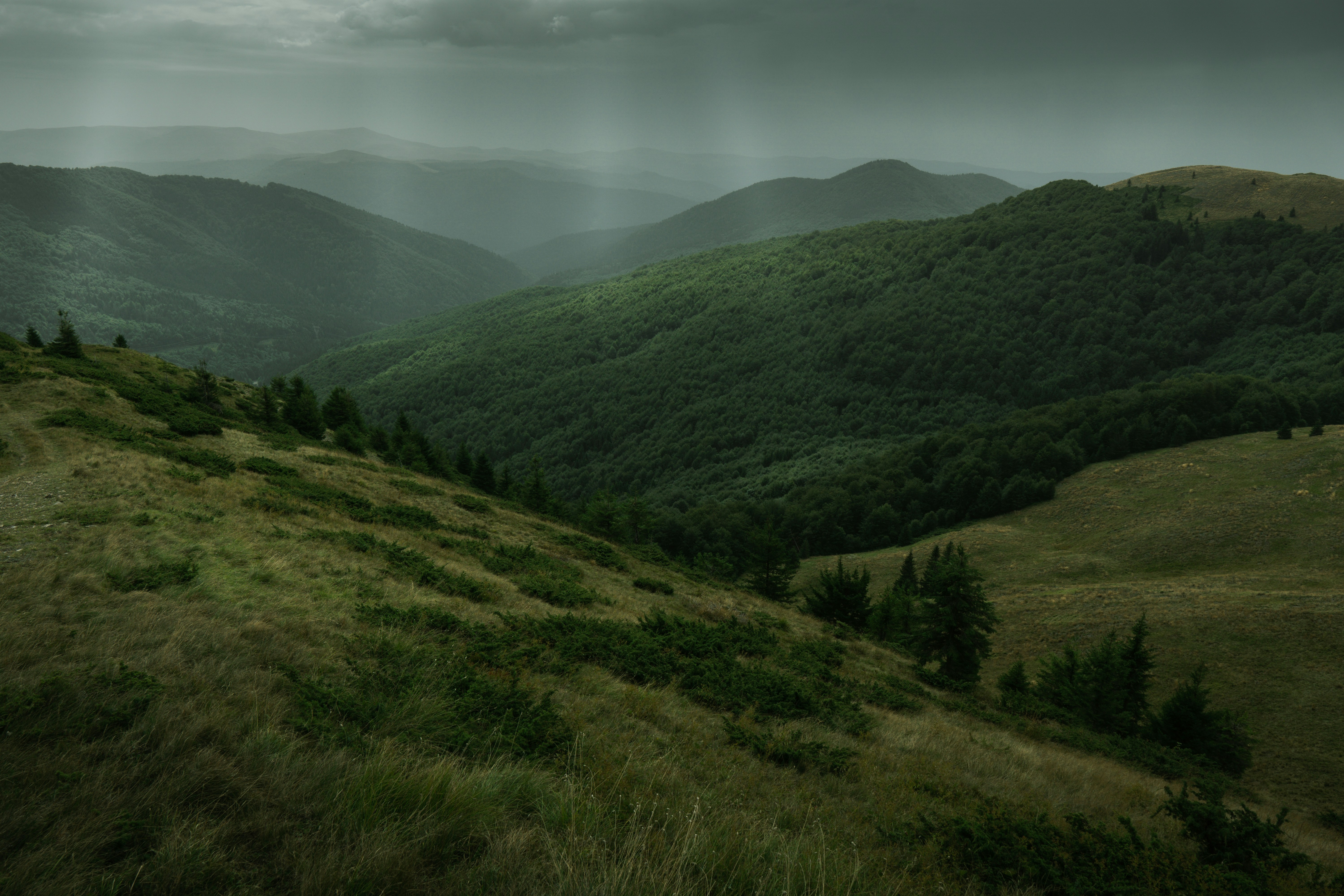 Photo by androwv
