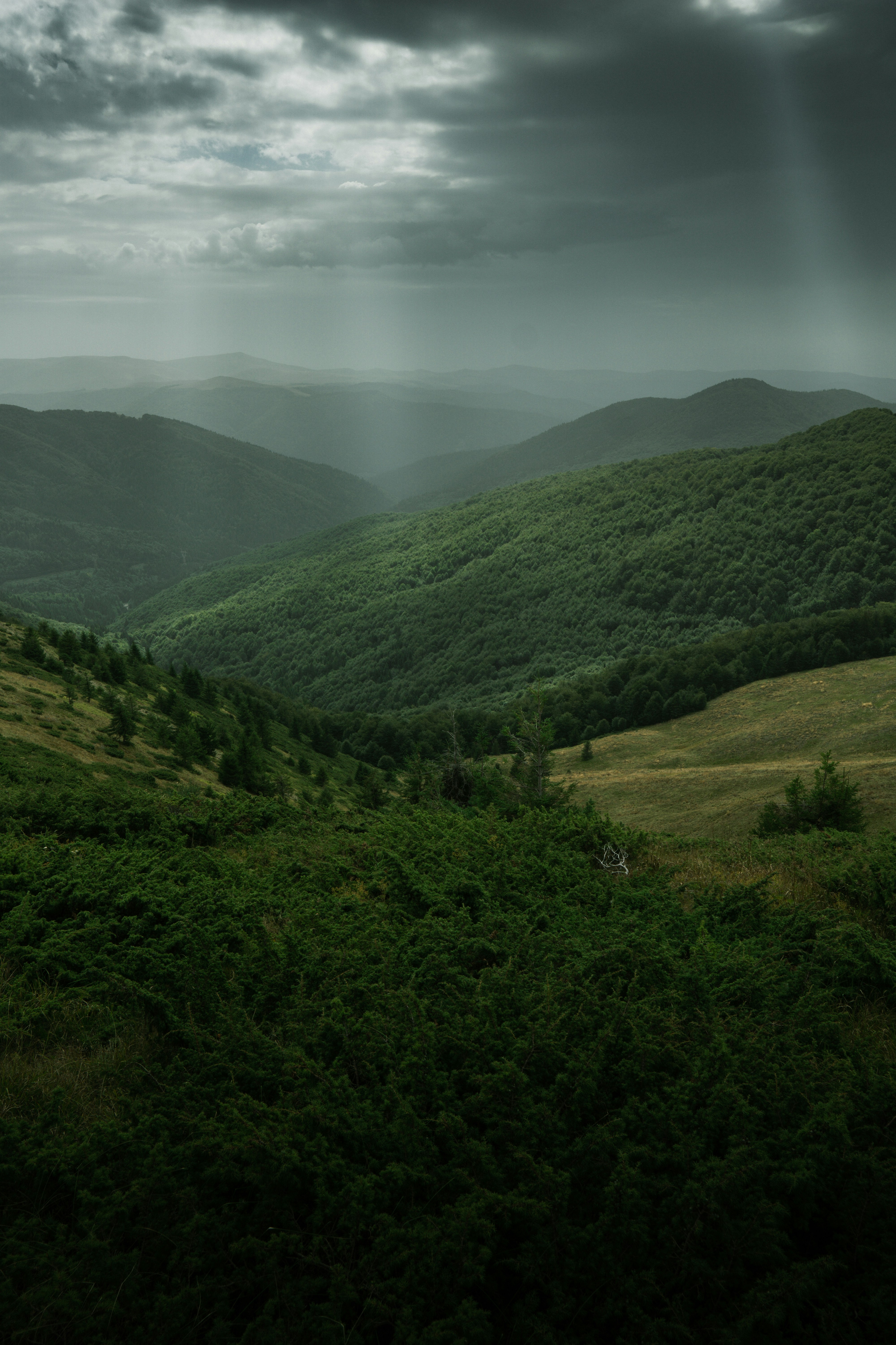 Photo by androwv
