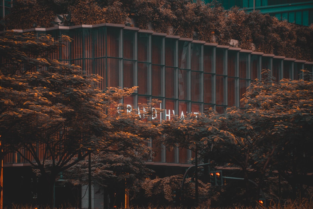 a building with trees around it