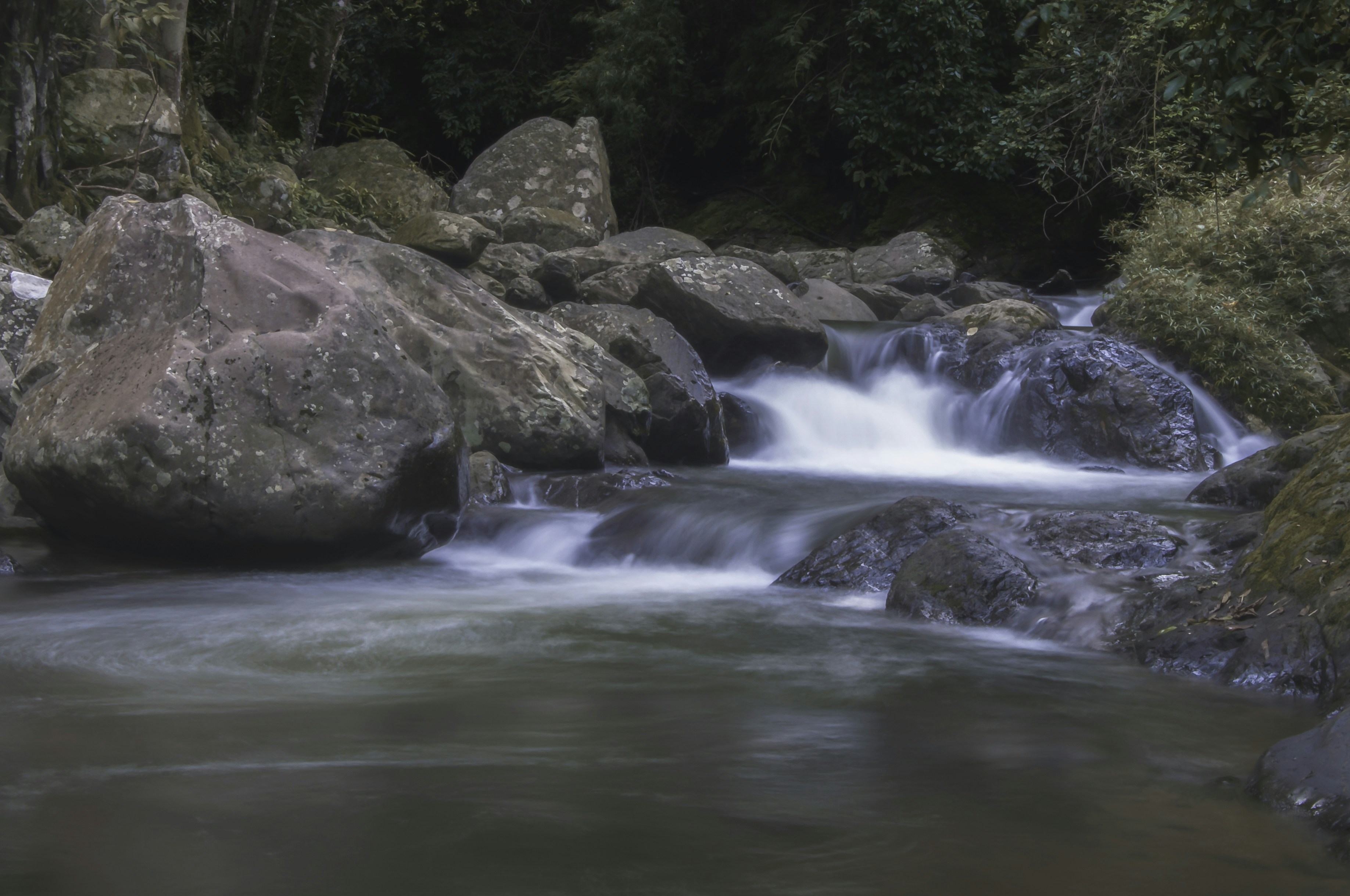 Photo by thom_oxford