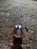 A metallic kettle with a curved spout and black handle is placed on a small portable stove. The stove is emitting an orange glow, indicating it is lit. The surrounding area is covered in grass and small rocks, suggesting an outdoor setting, likely at night due to the surrounding darkness and artificial light source highlighting the kettle.