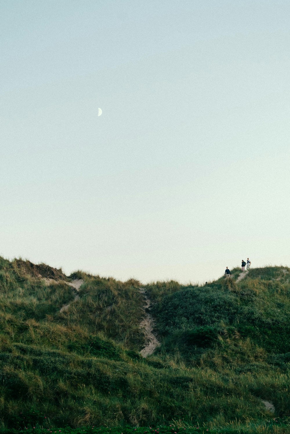 a group of people walking on a trail in a grassy area