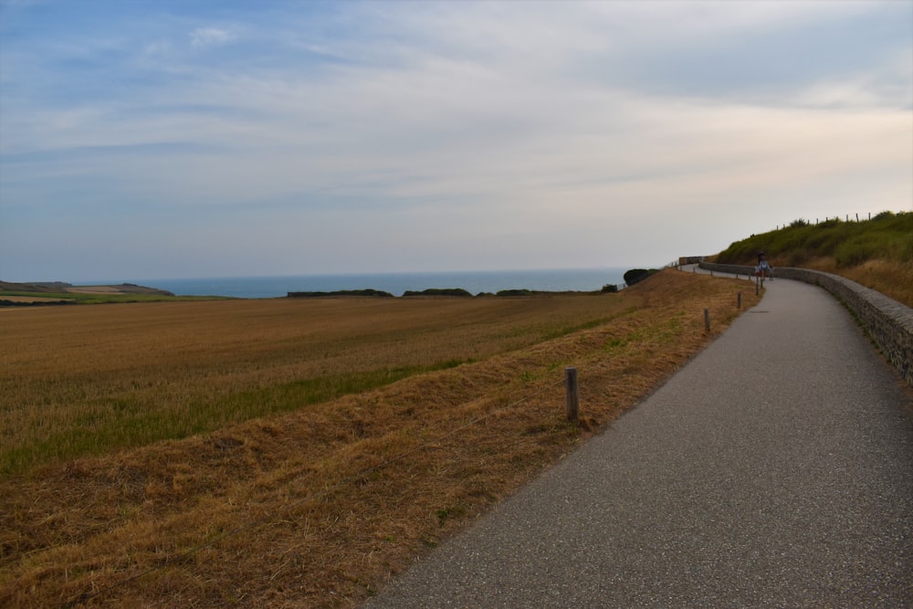 a person riding a bicycle on a path by a field