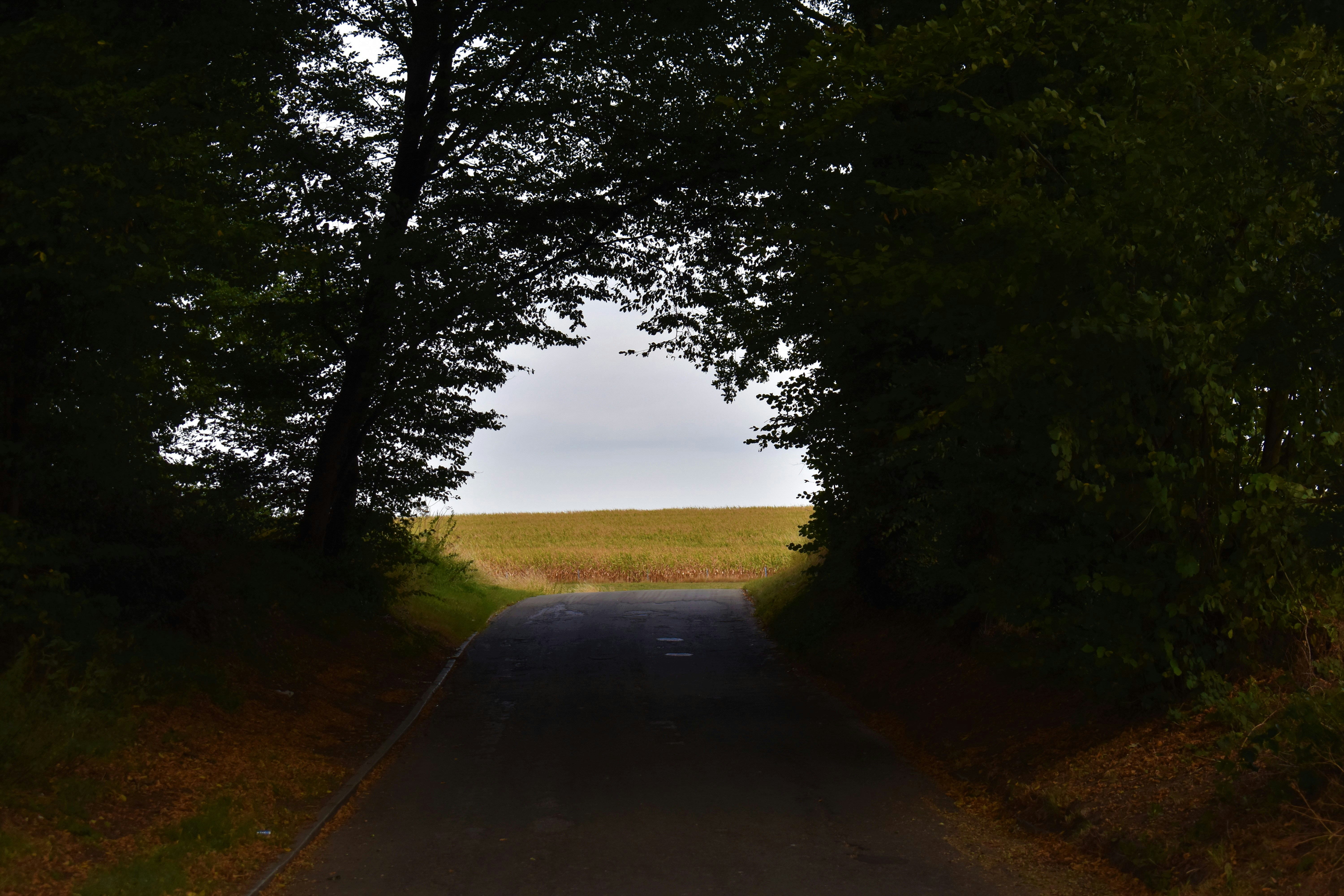 Photo by annnnnnnna8