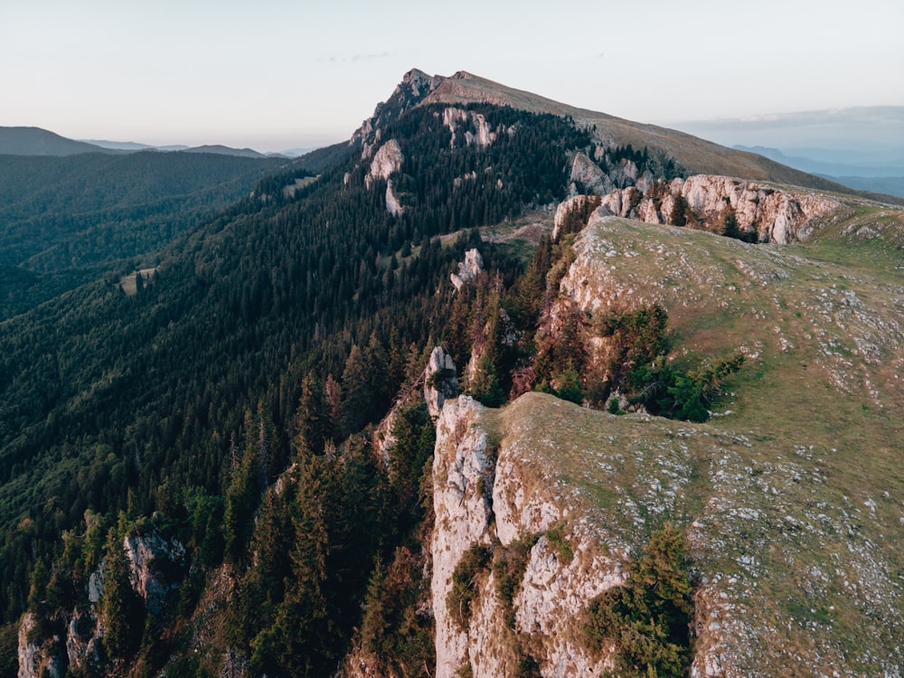 a rocky mountain with trees