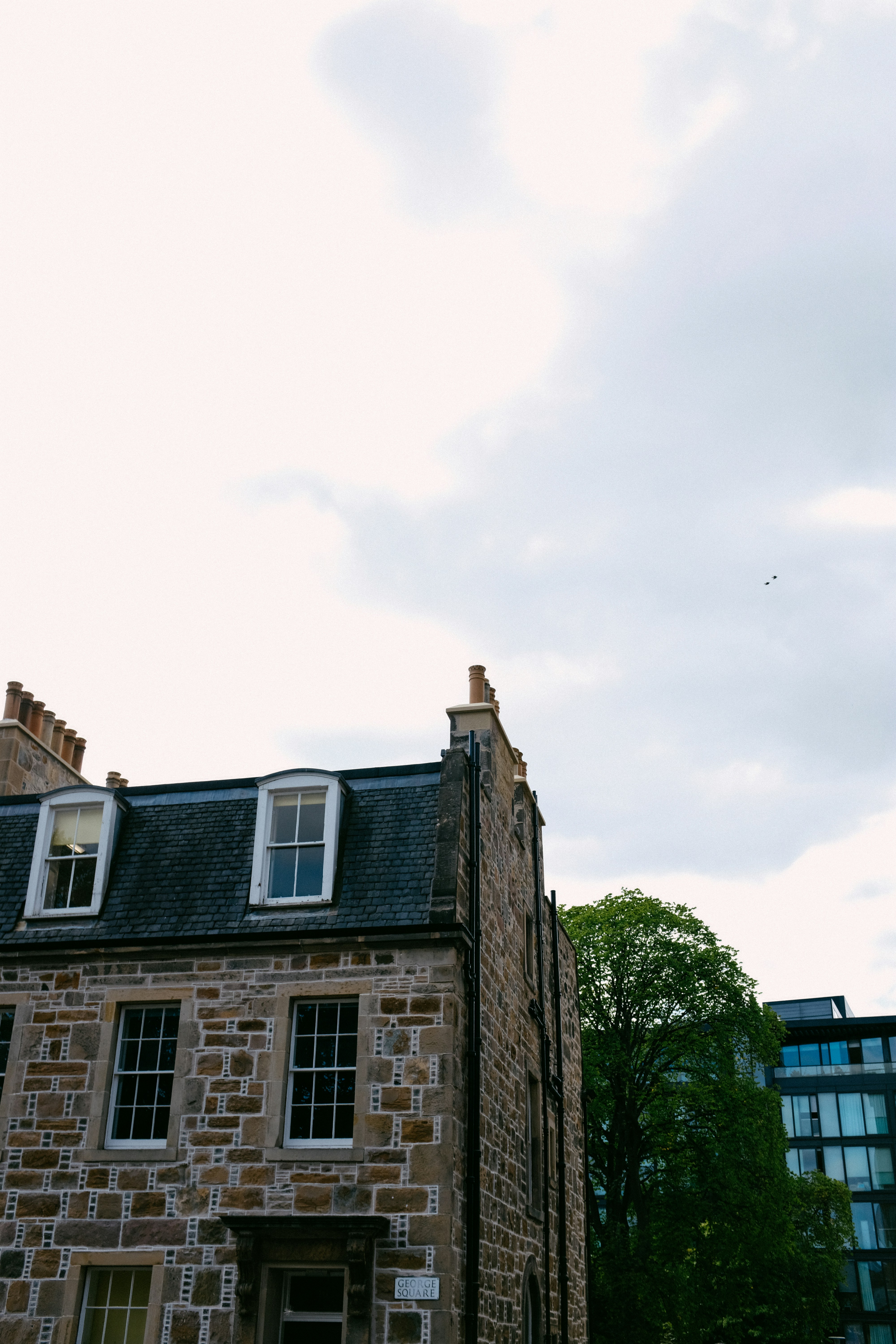 Photo by adrienolichon