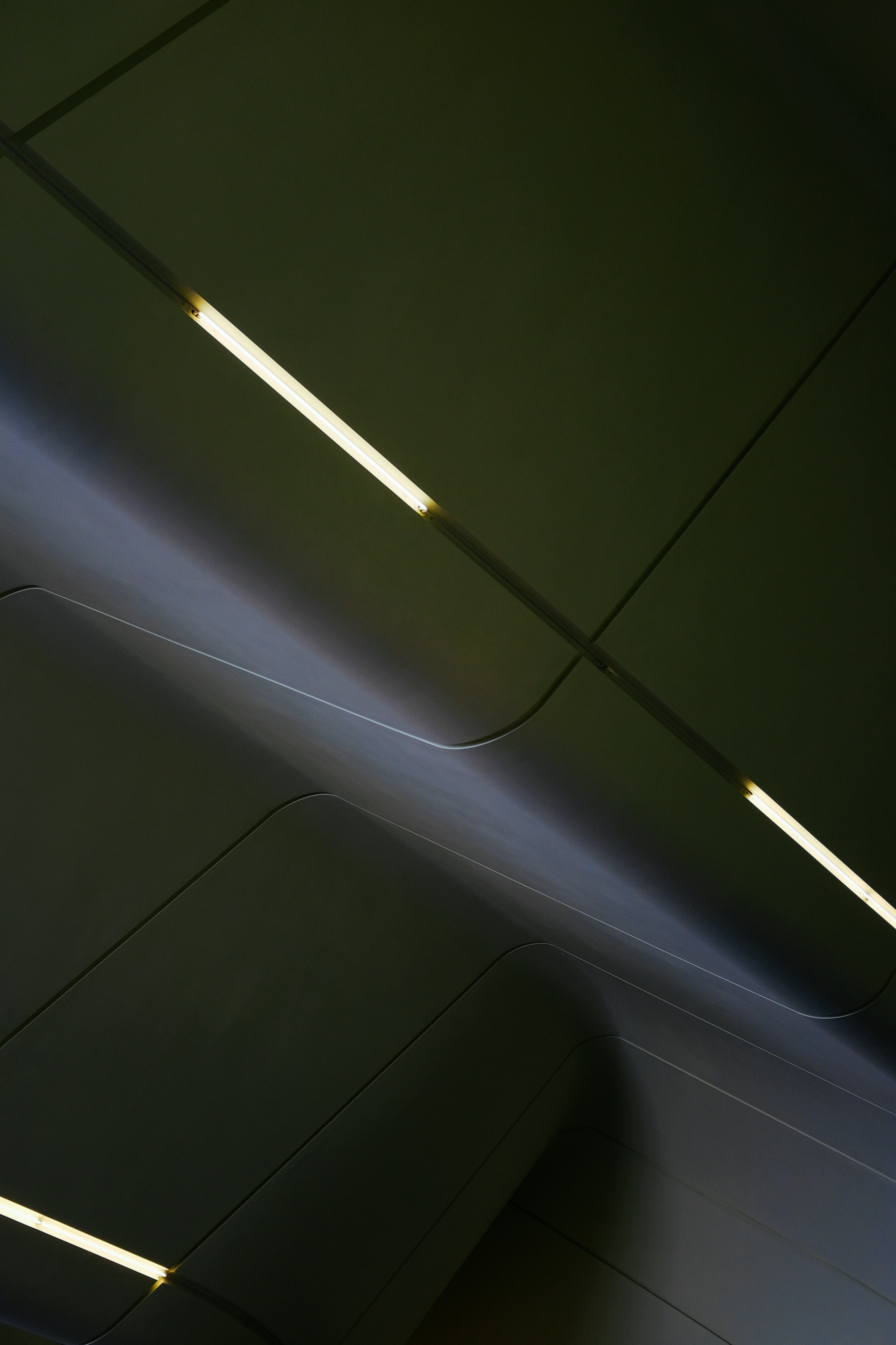 Photo by adrienolichon