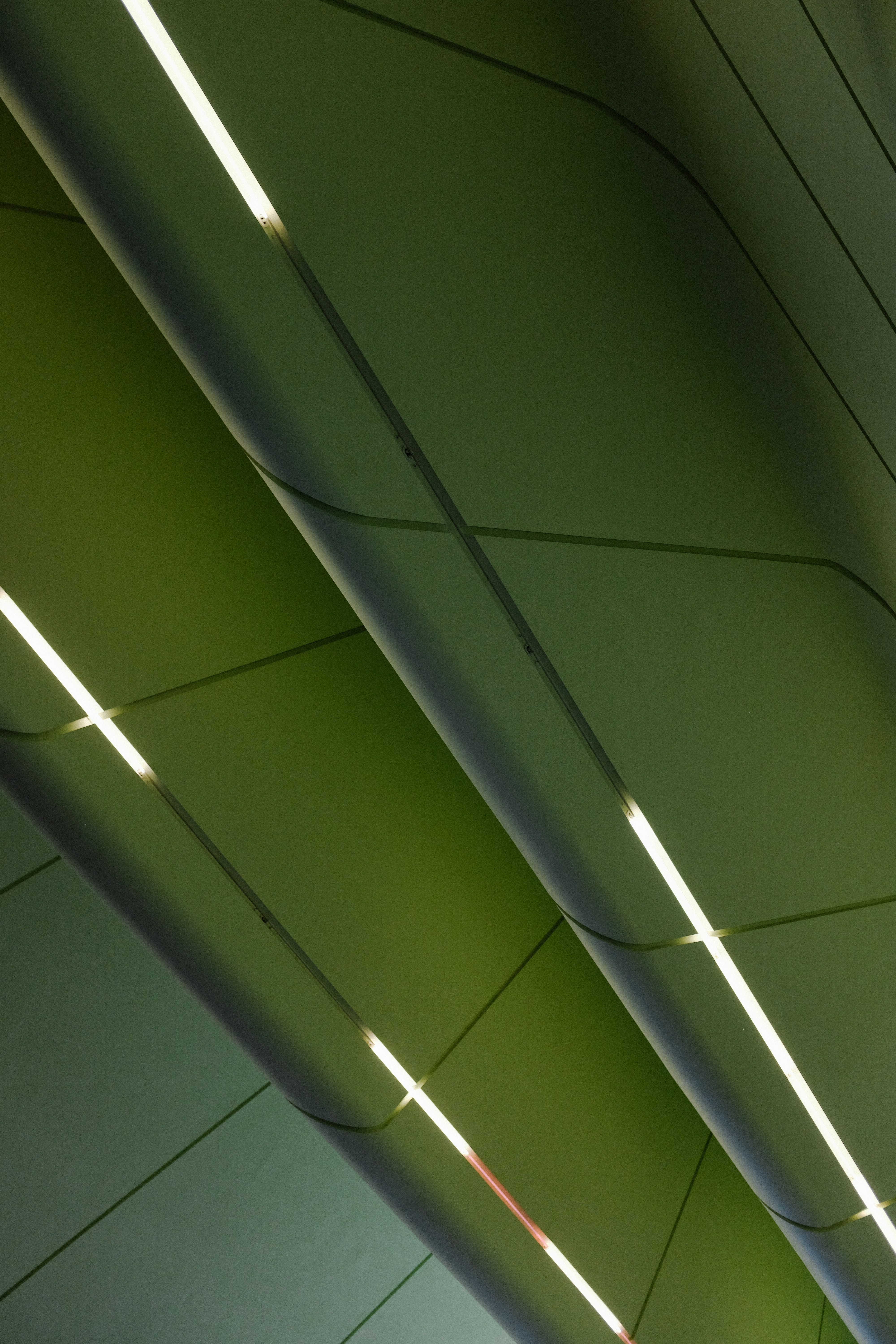 Photo by adrienolichon