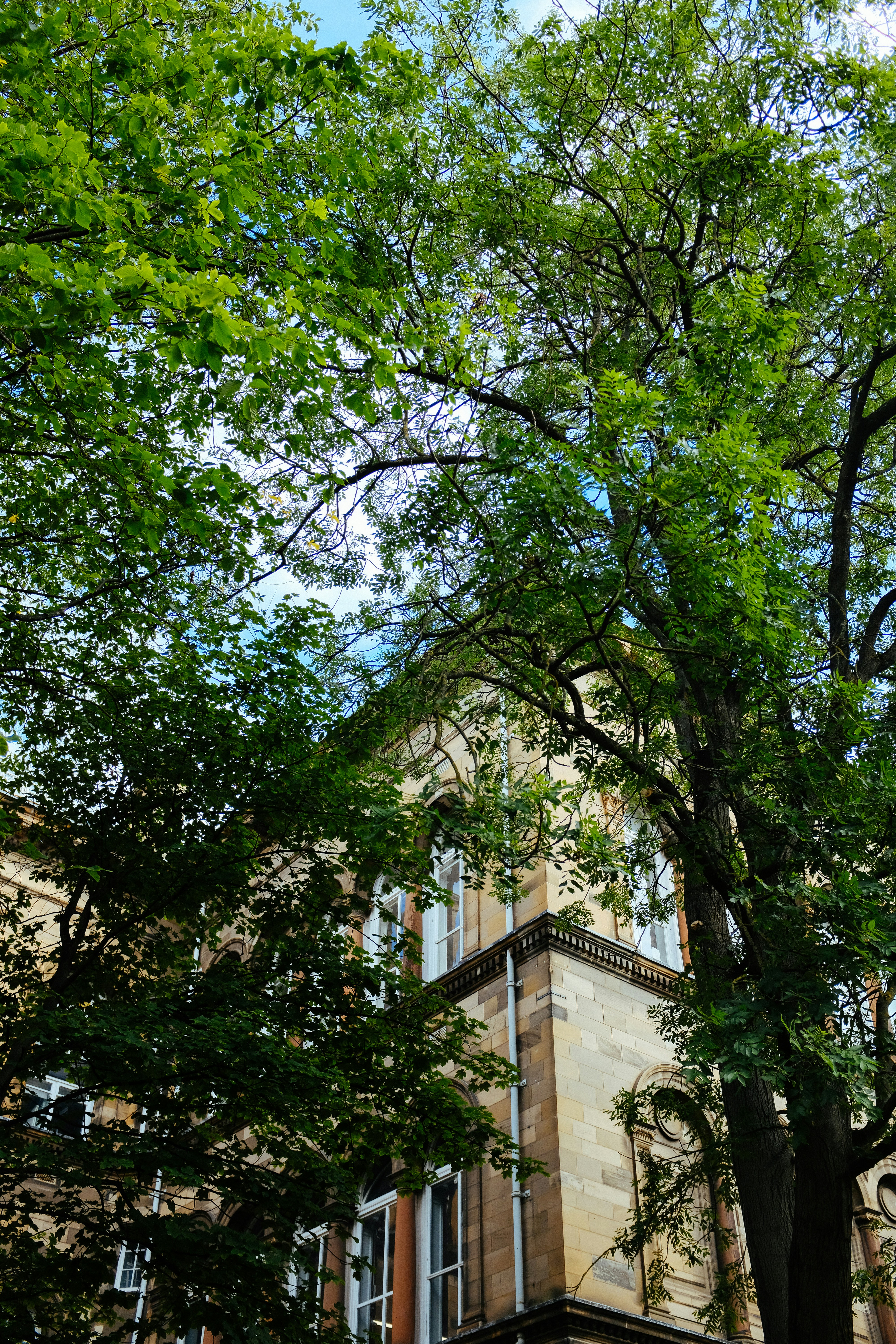 Photo by adrienolichon