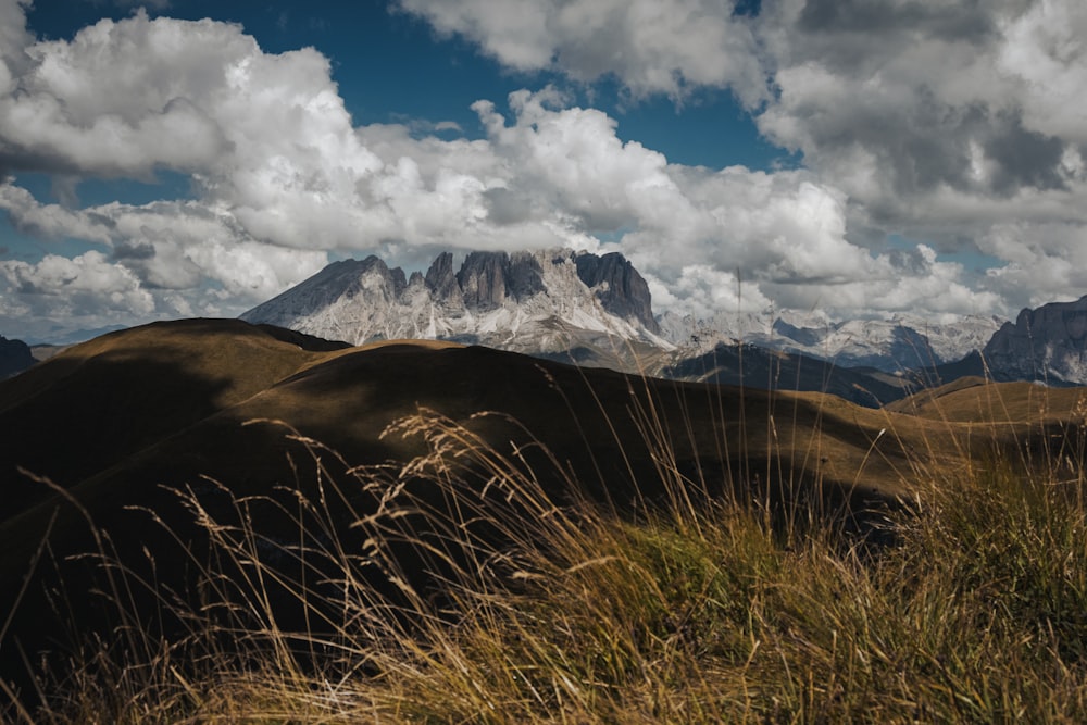 a grassy area with mountains in the background