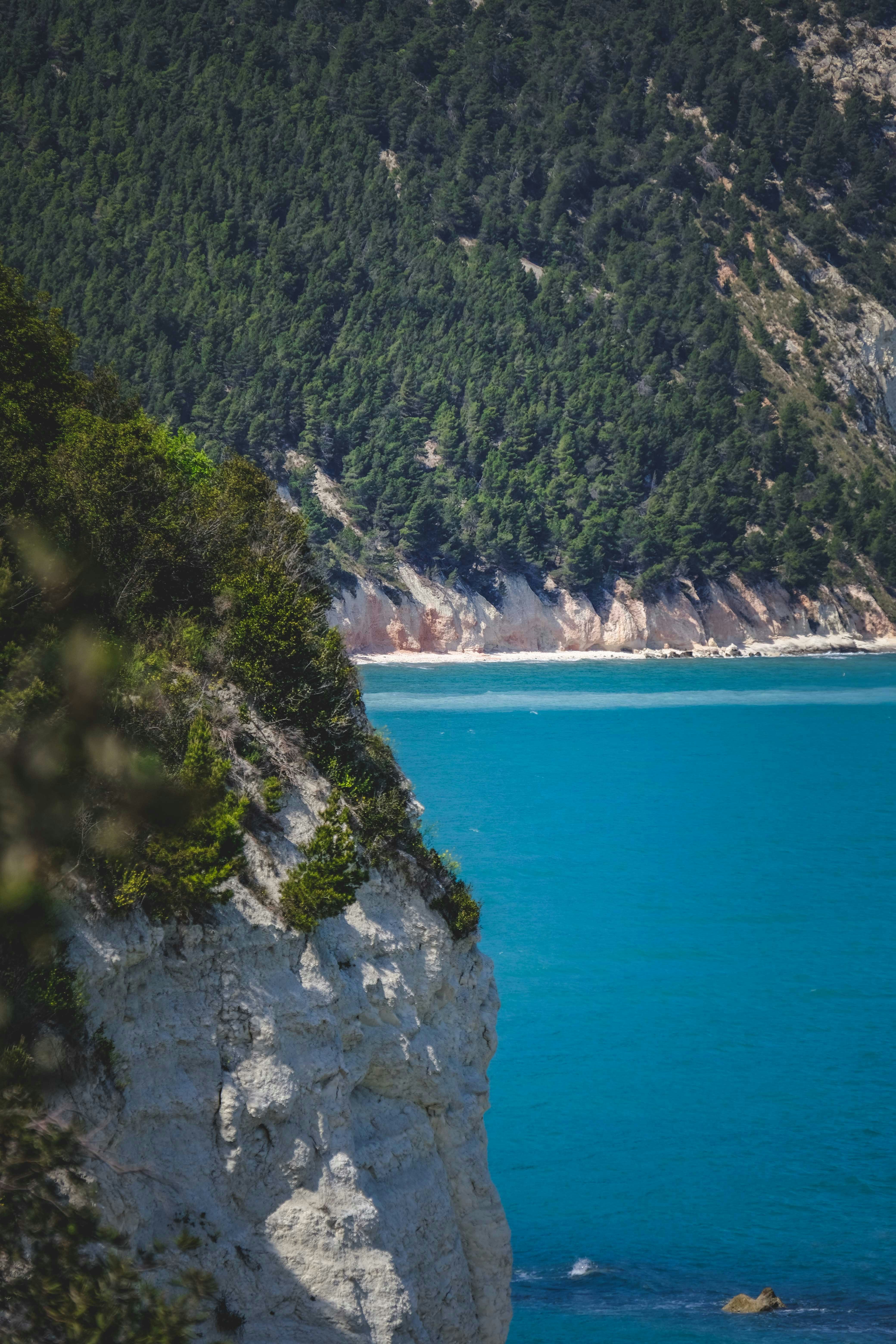 Photo by francesco_ungaro