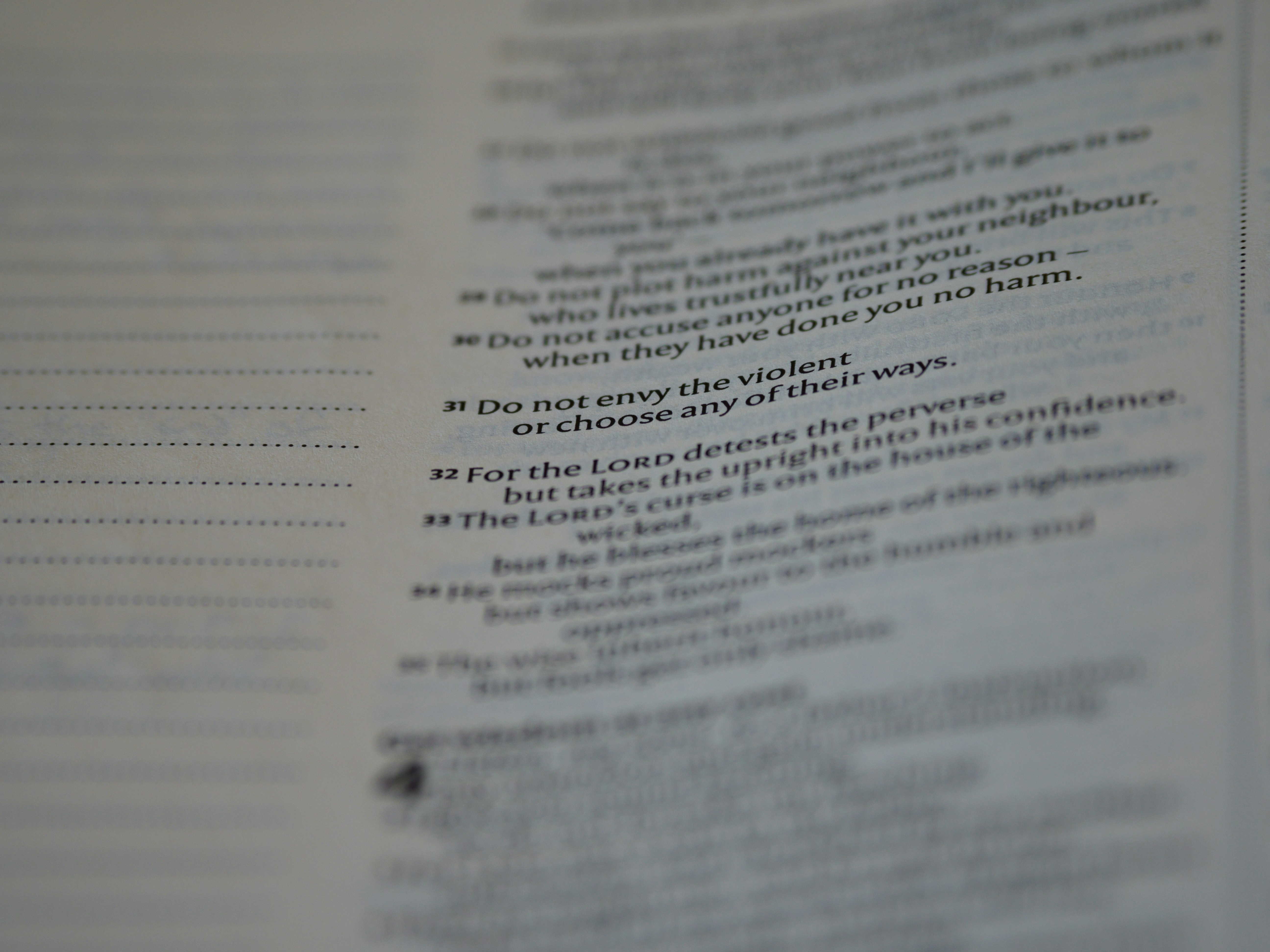 Photo by brett_jordan