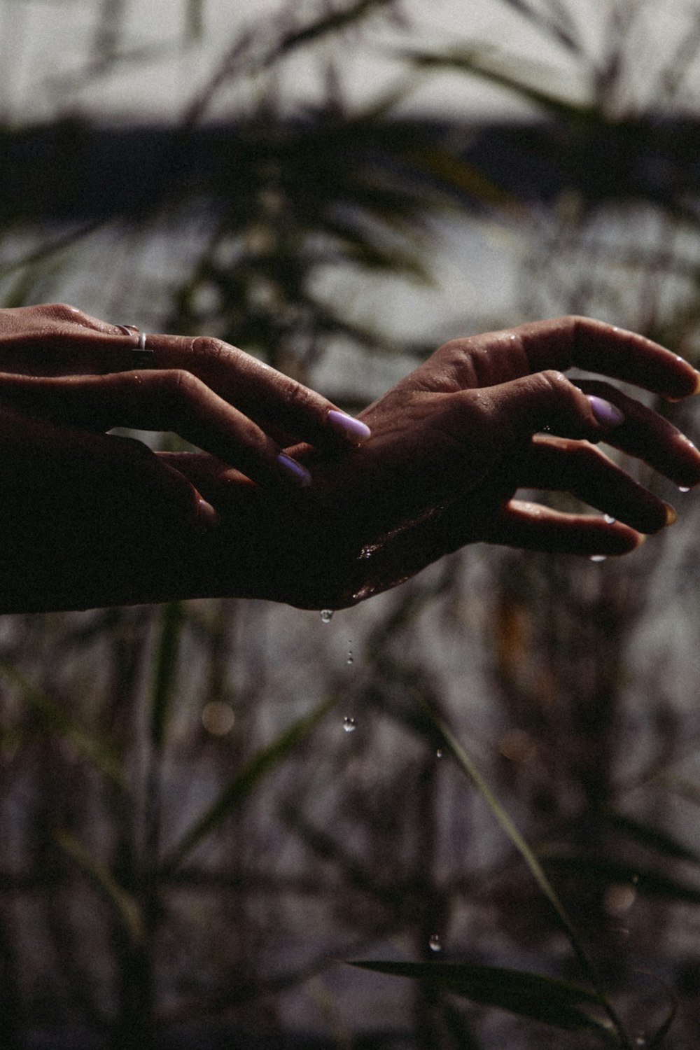 a pair of hands holding each other