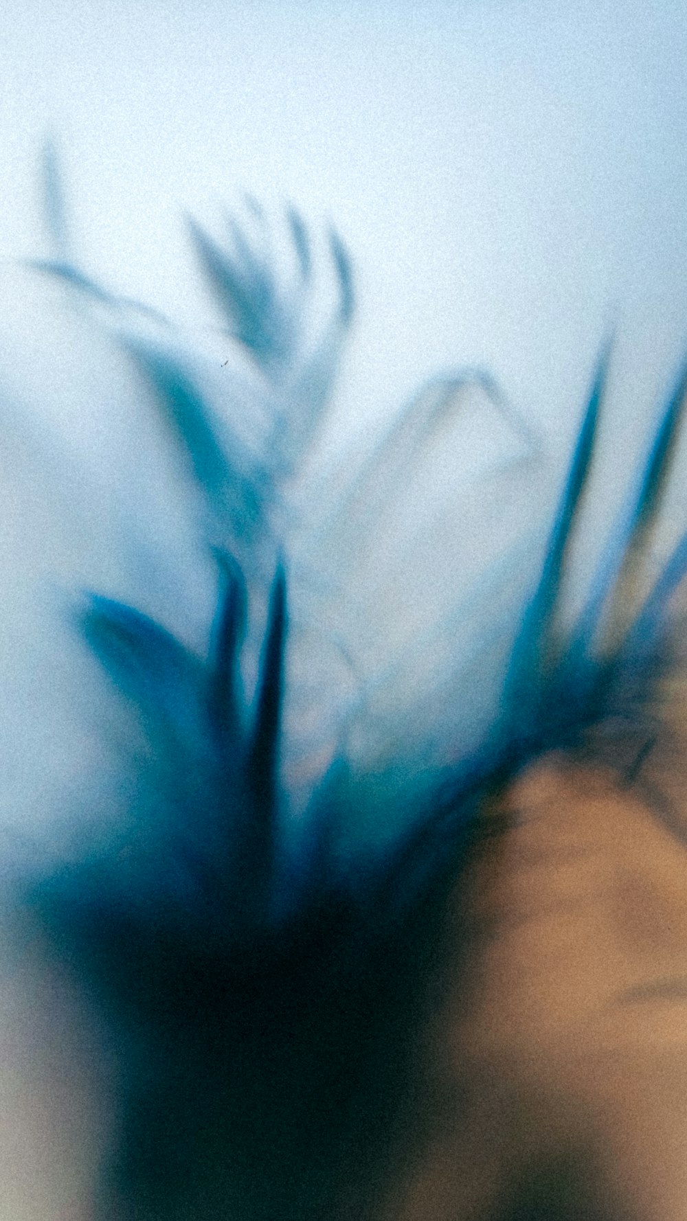 a close up of a blur