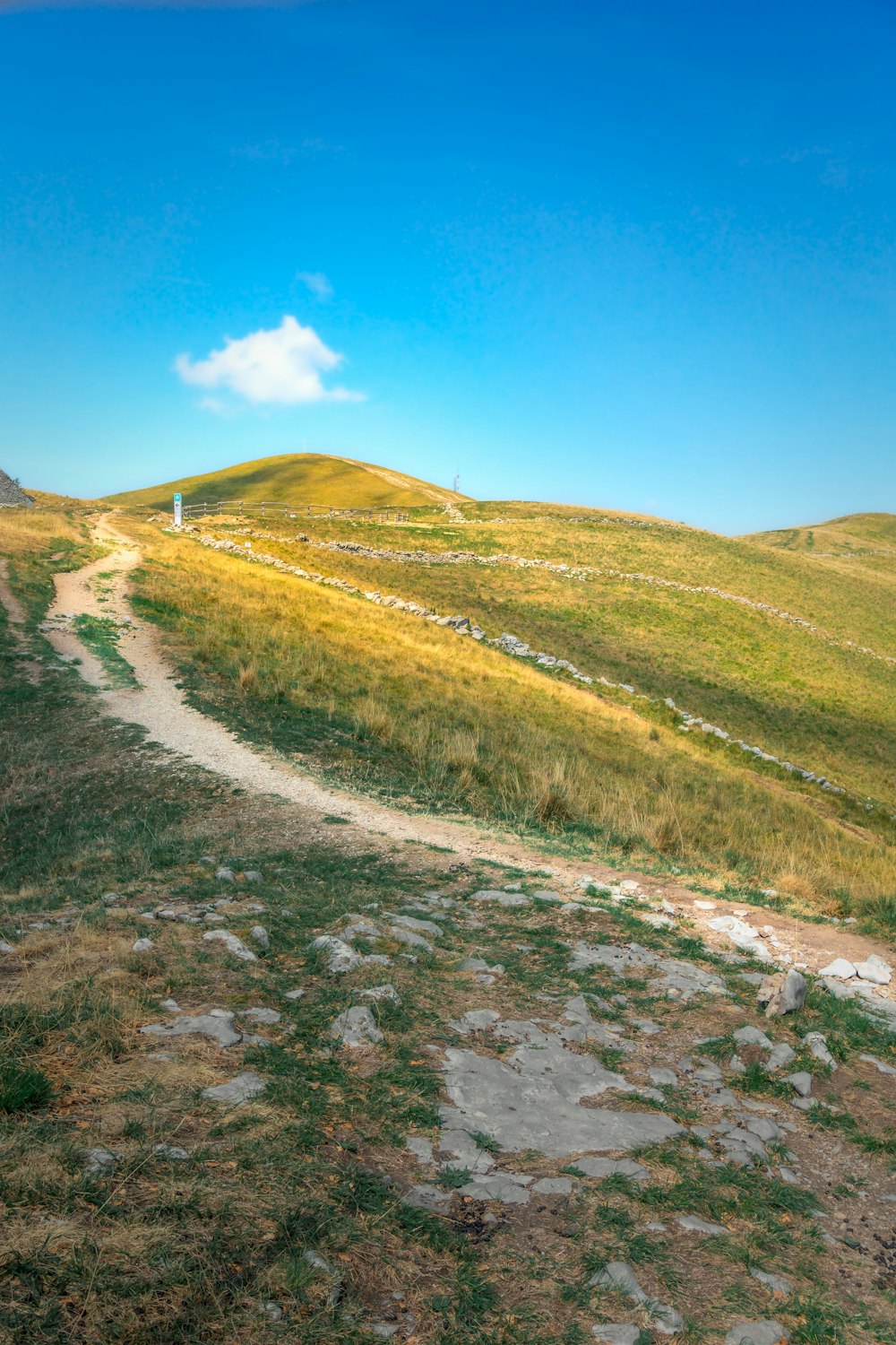 a grassy hill with a dirt road