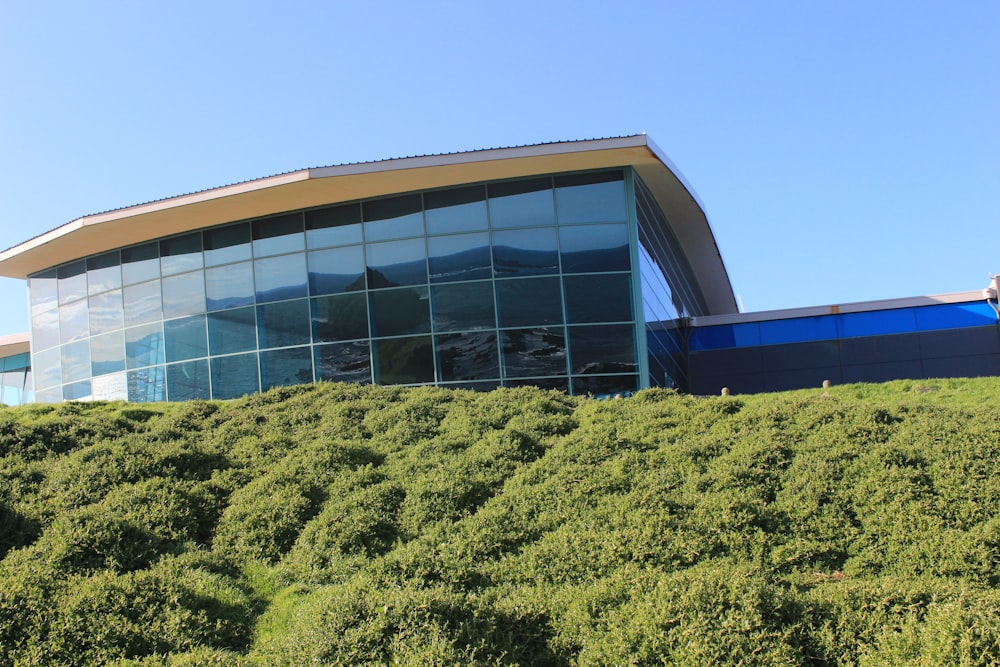 a building with glass windows