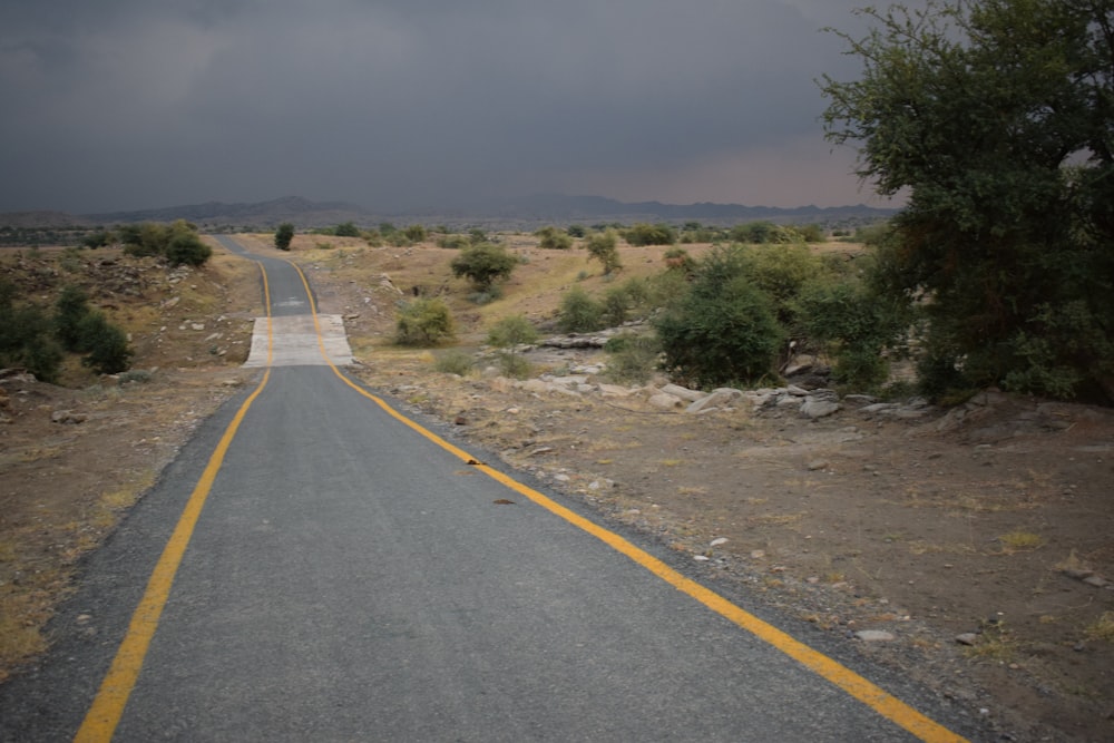 a road with bushes on the side