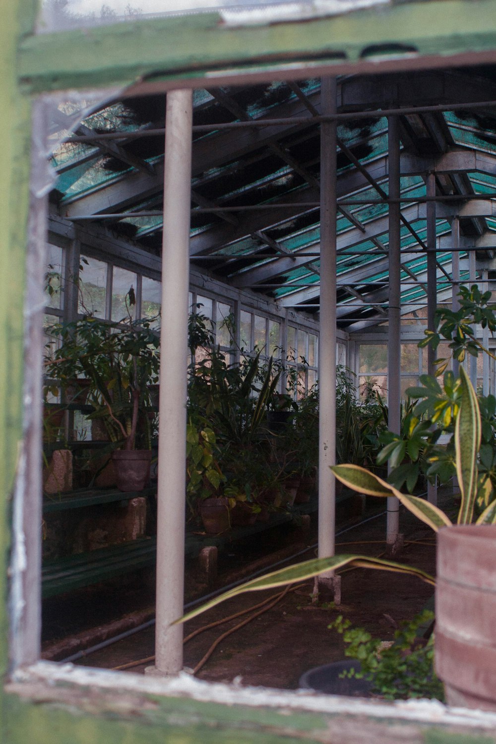 a green house with a glass roof