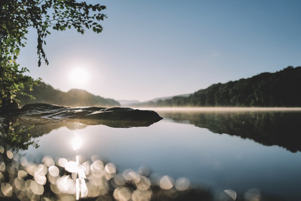 a body of water with rocks and trees around it