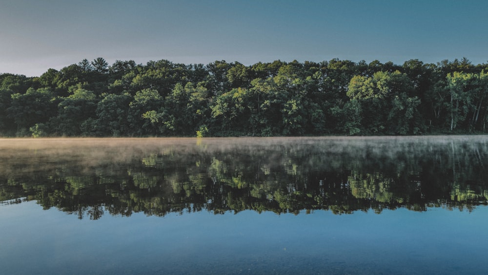 a body of water with trees in the back