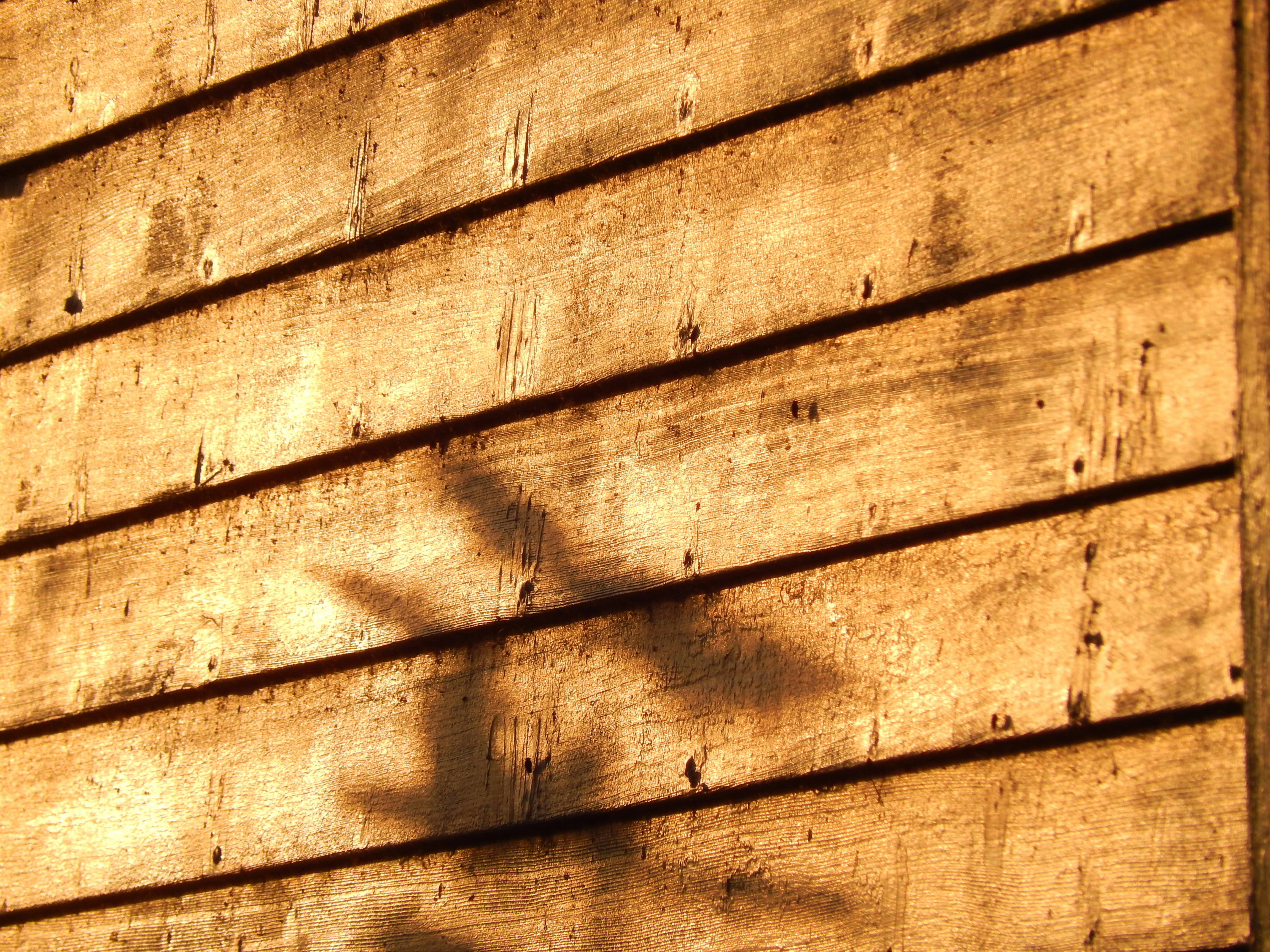 Photo by scarlettweiss