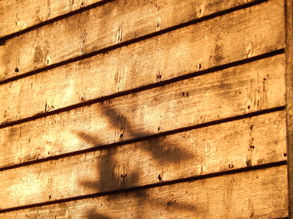 a close up of a wood wall