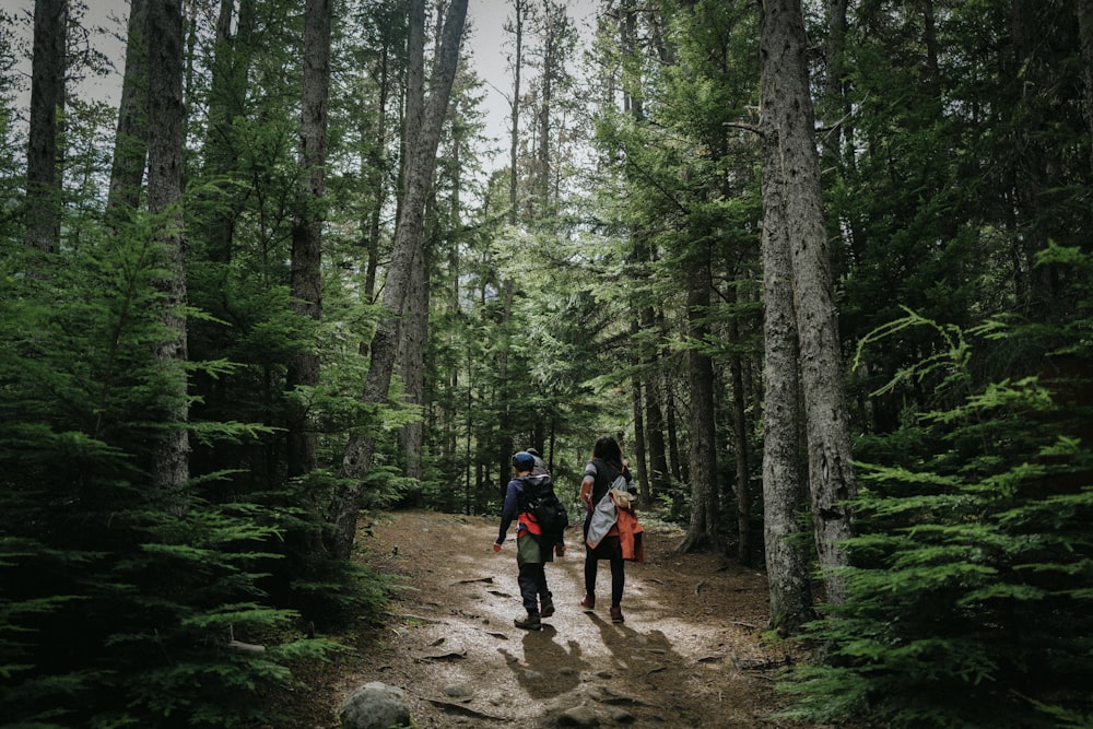 a couple people walking on a dirt path in the woods
