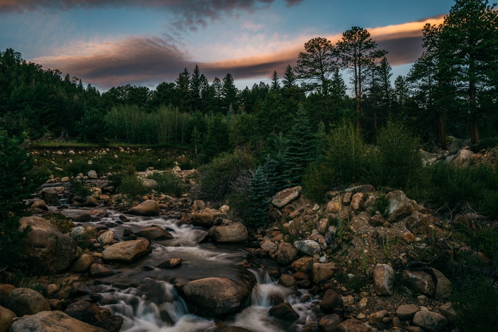 a river with rocks and trees