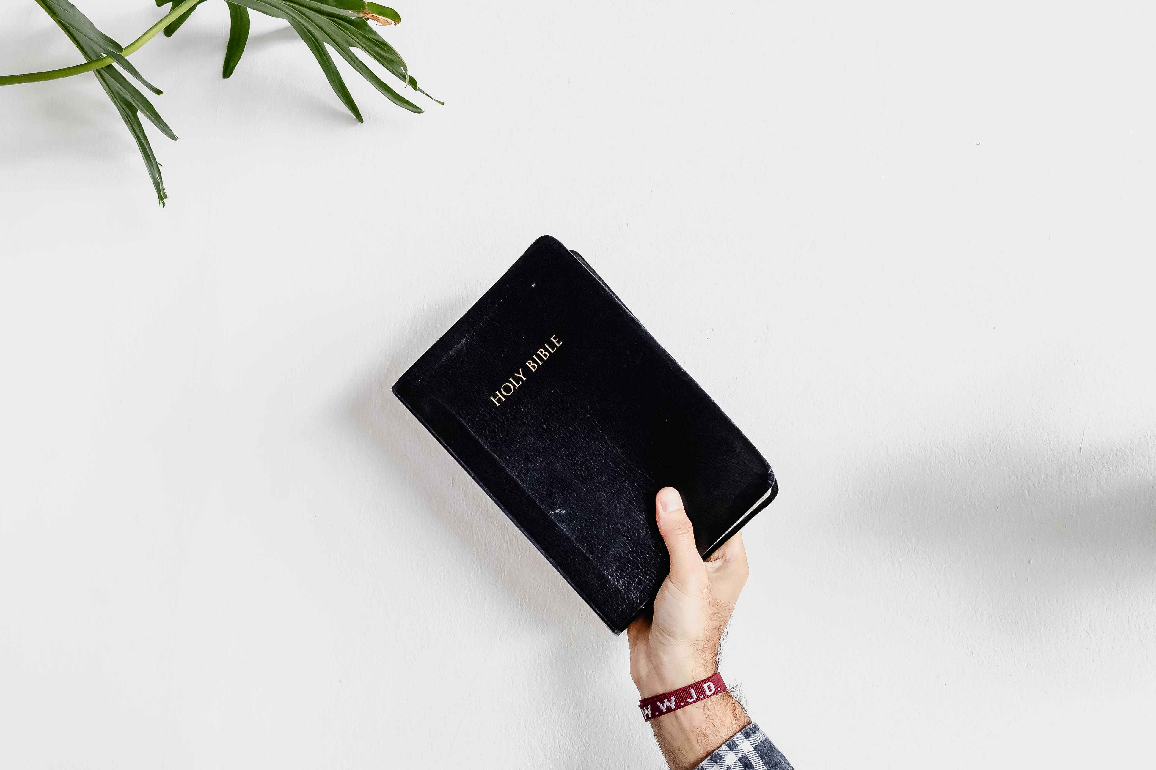 Grafische Benutzeroberfläche