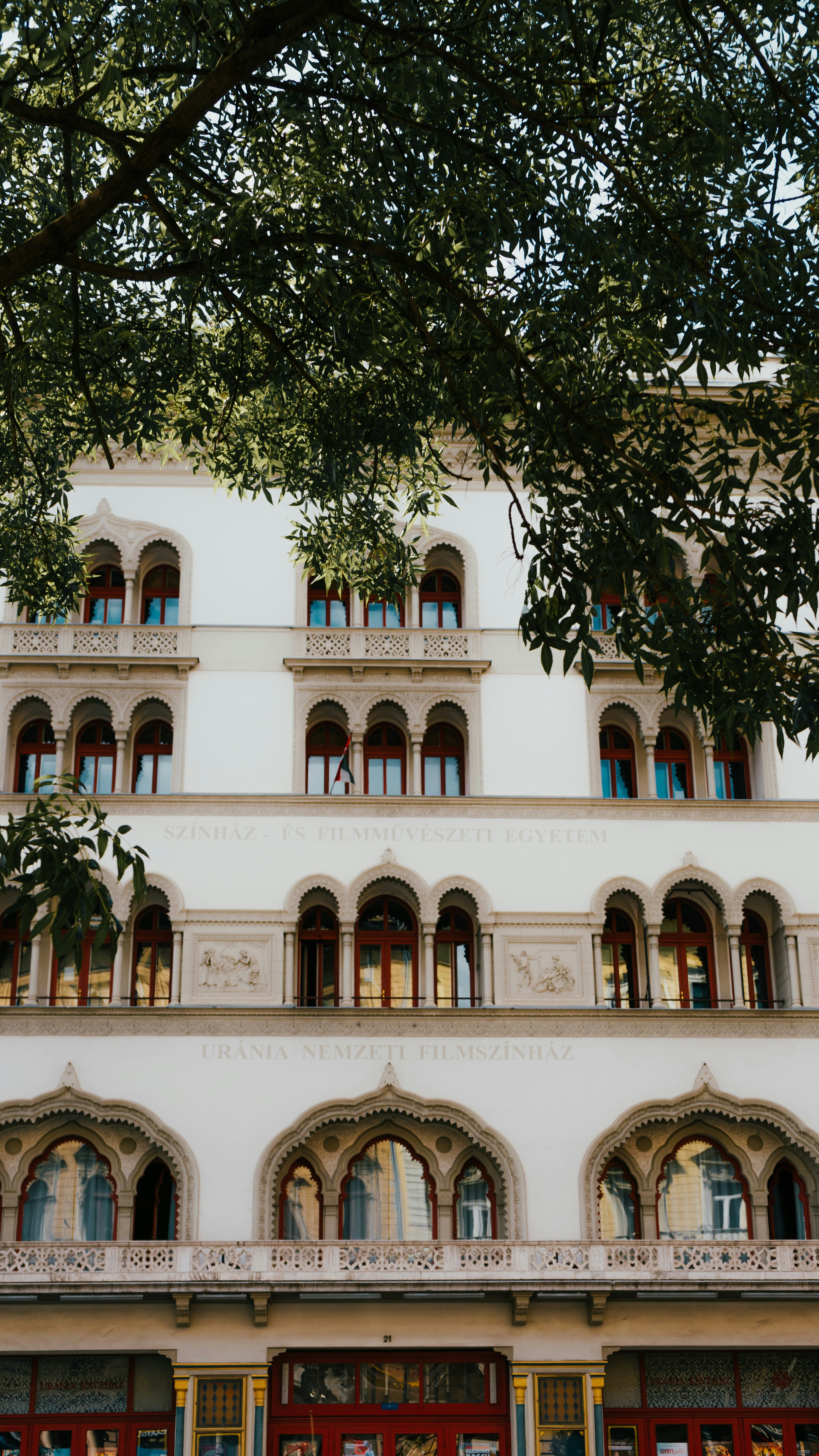 Un gran edificio blanco con un árbol frente a él