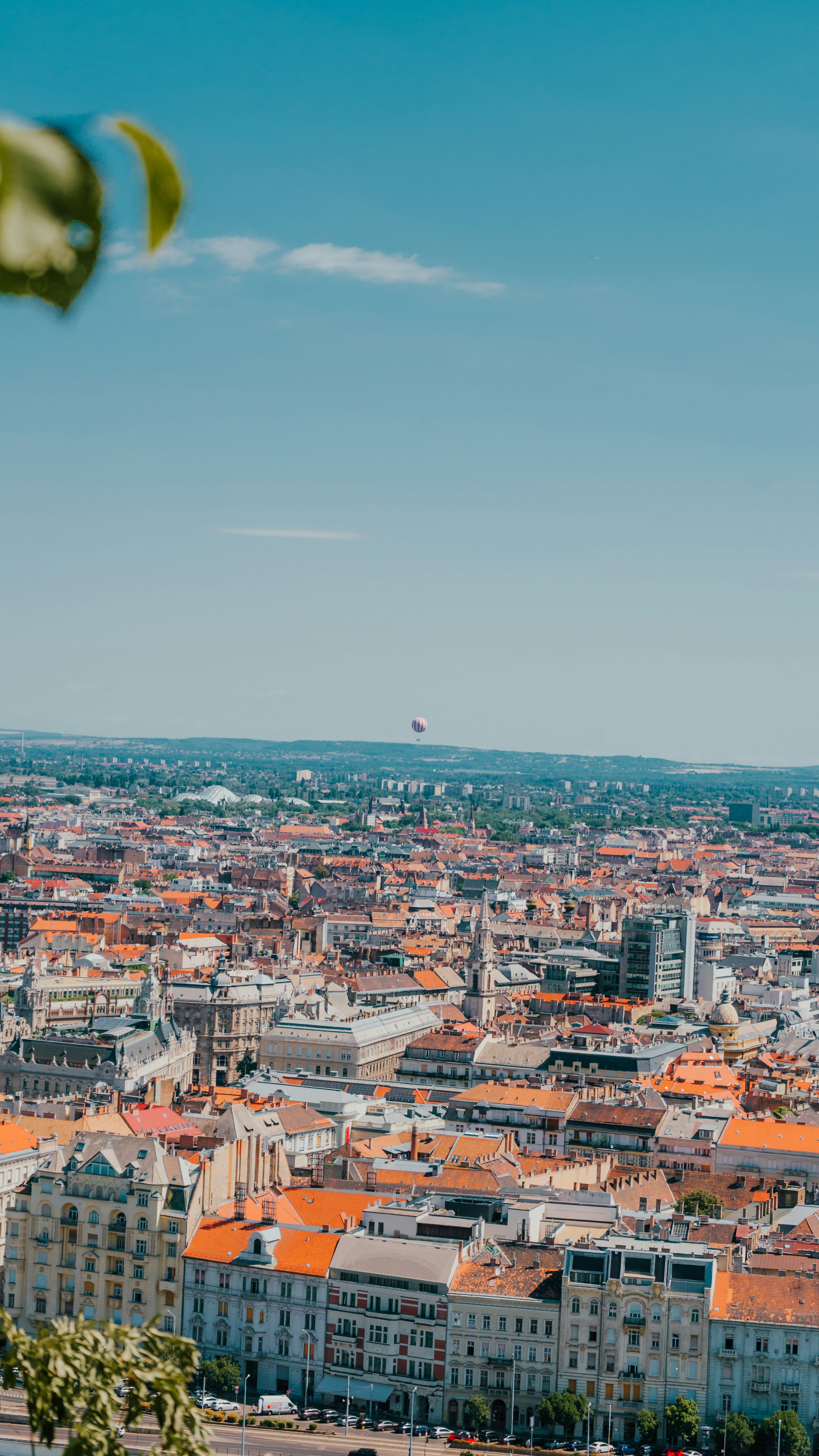 Photo by luca_herren