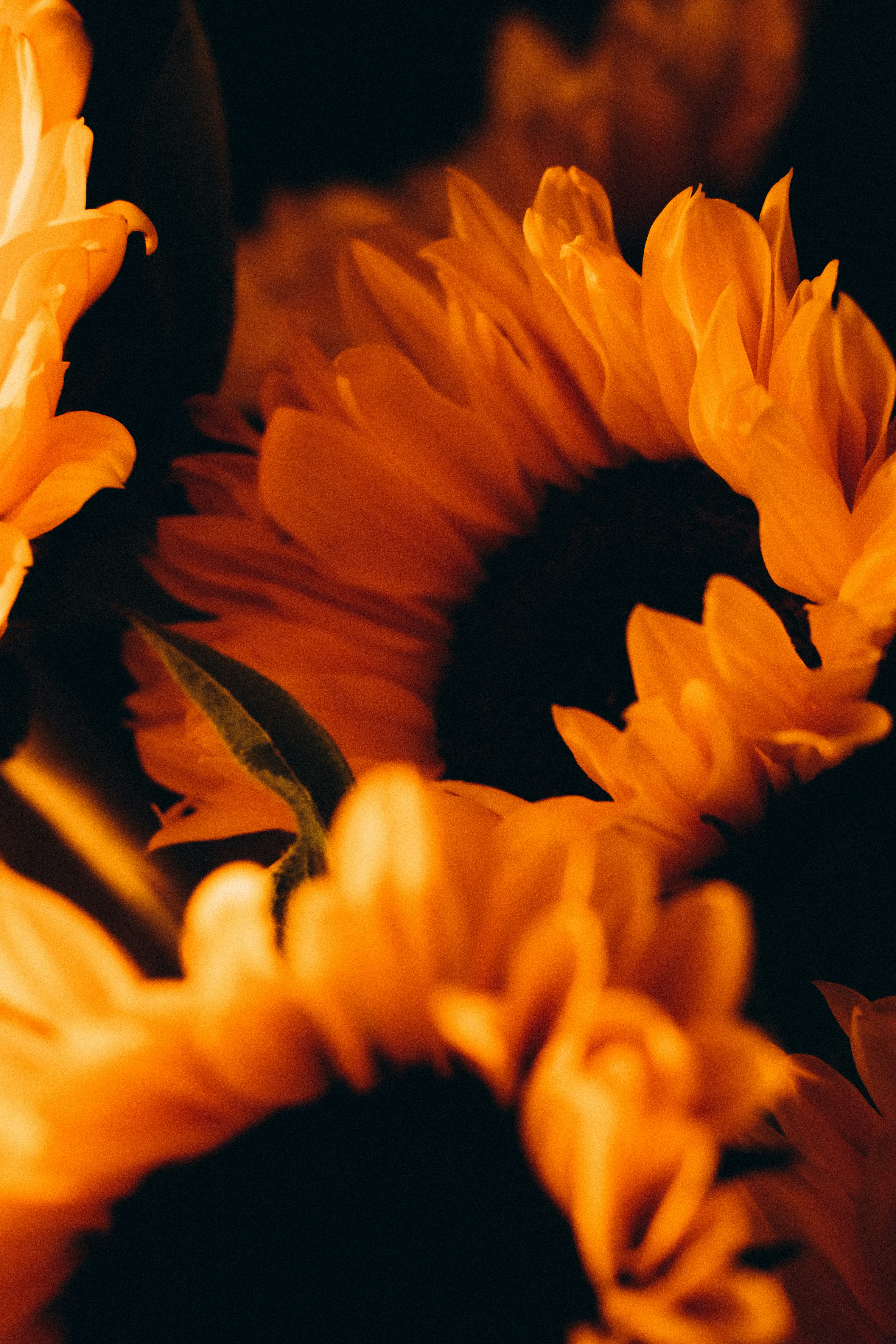 Photo by yana_hurska