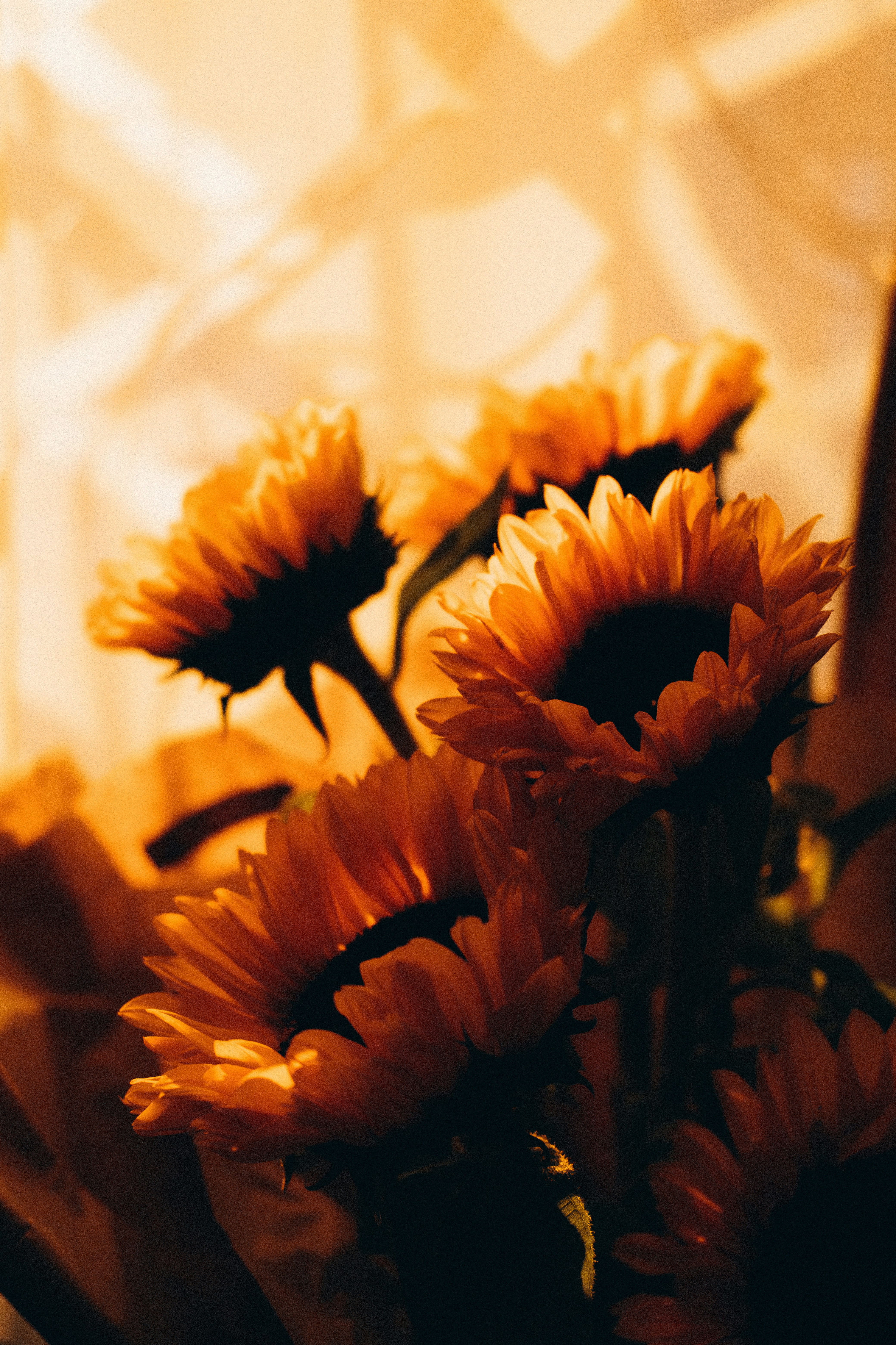 Photo by yana_hurska