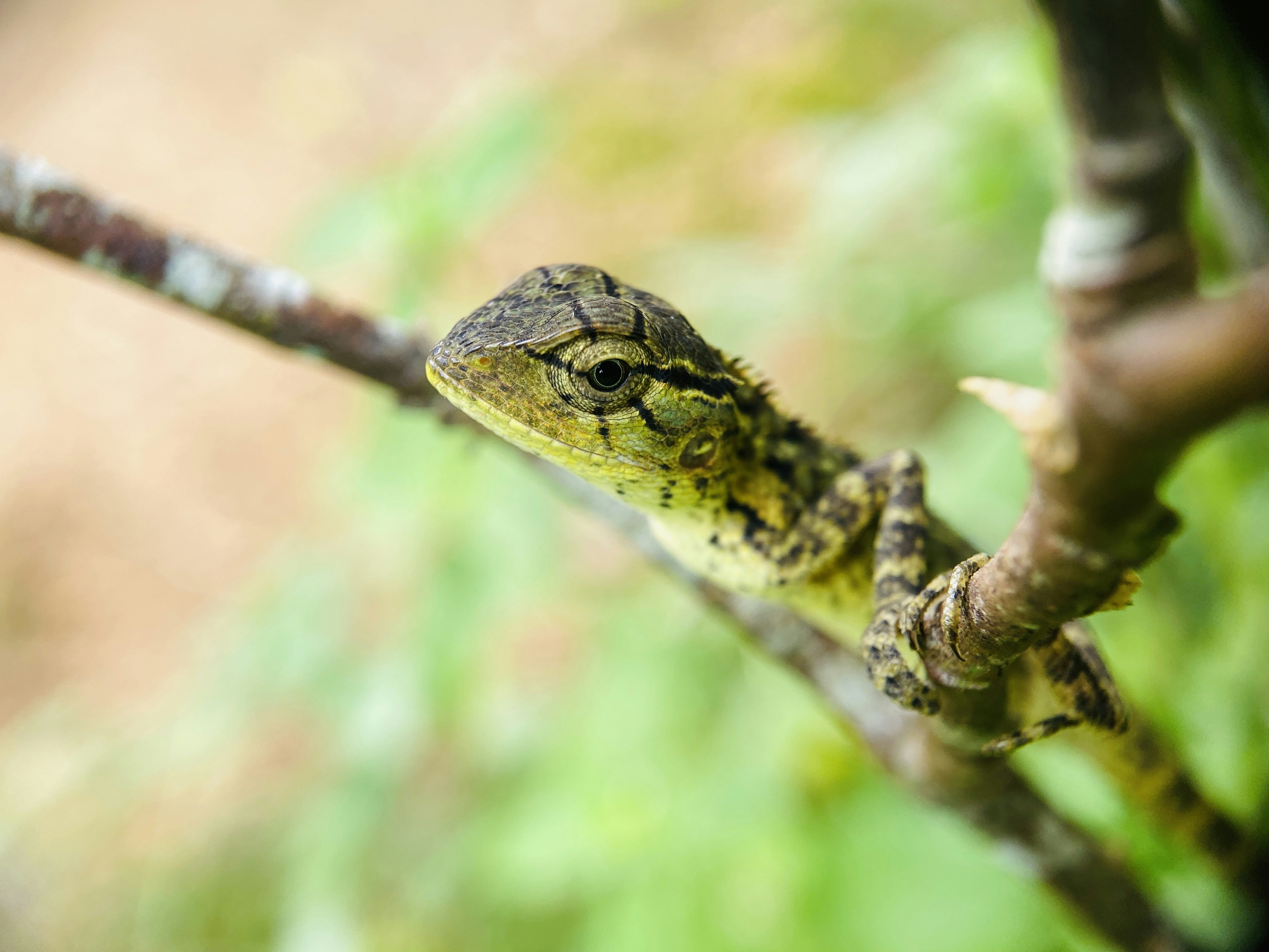 Photo by musing_photography