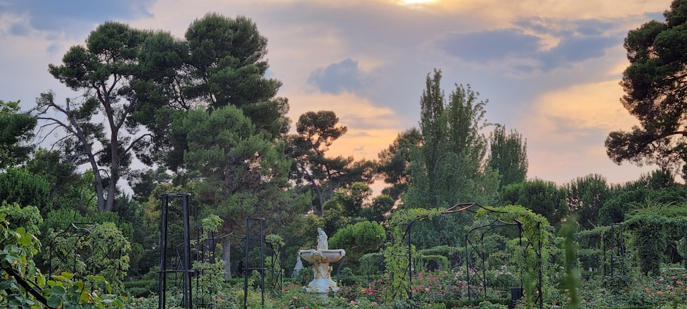 a garden with trees and a fountain