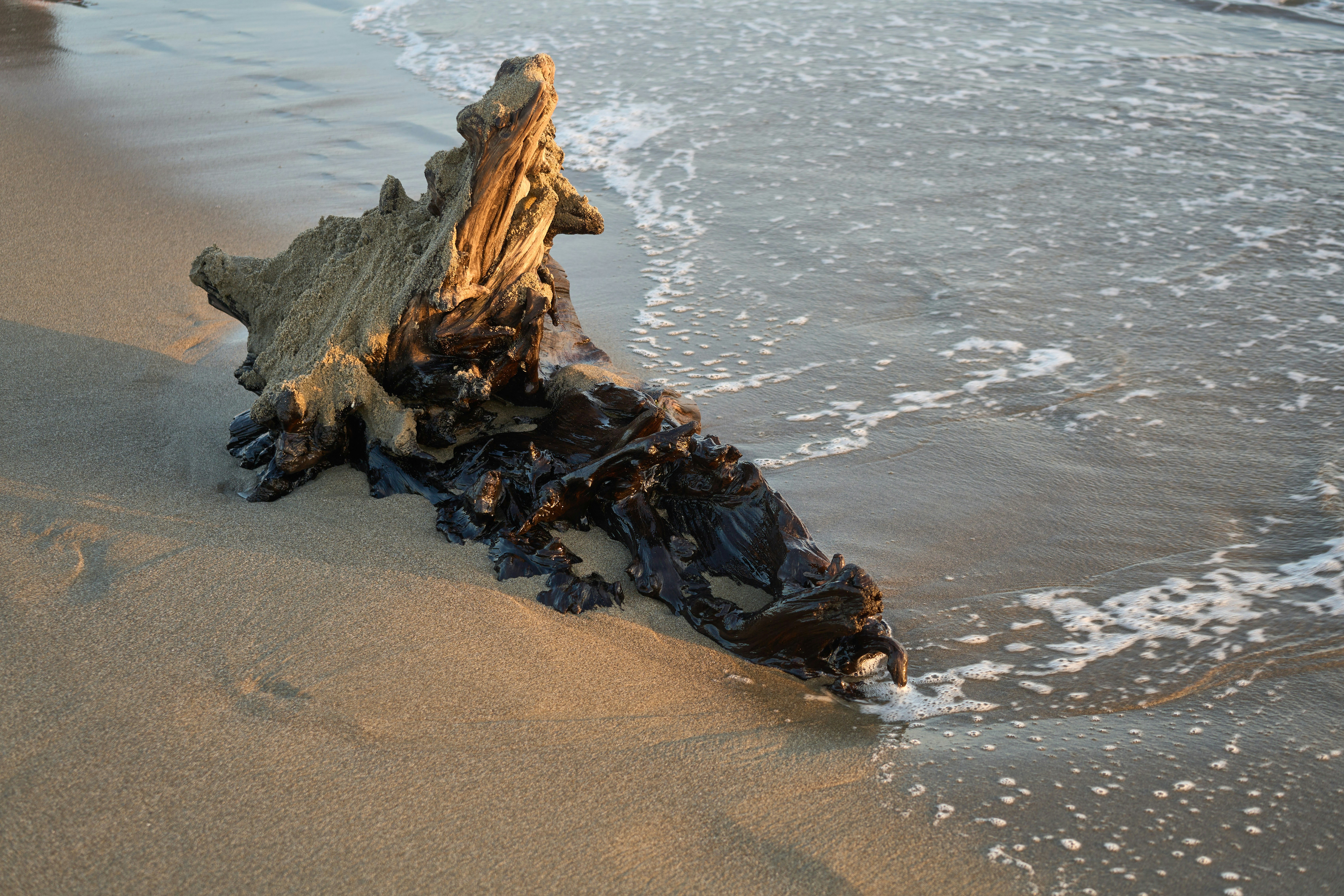 Photo by wolfgang_hasselmann