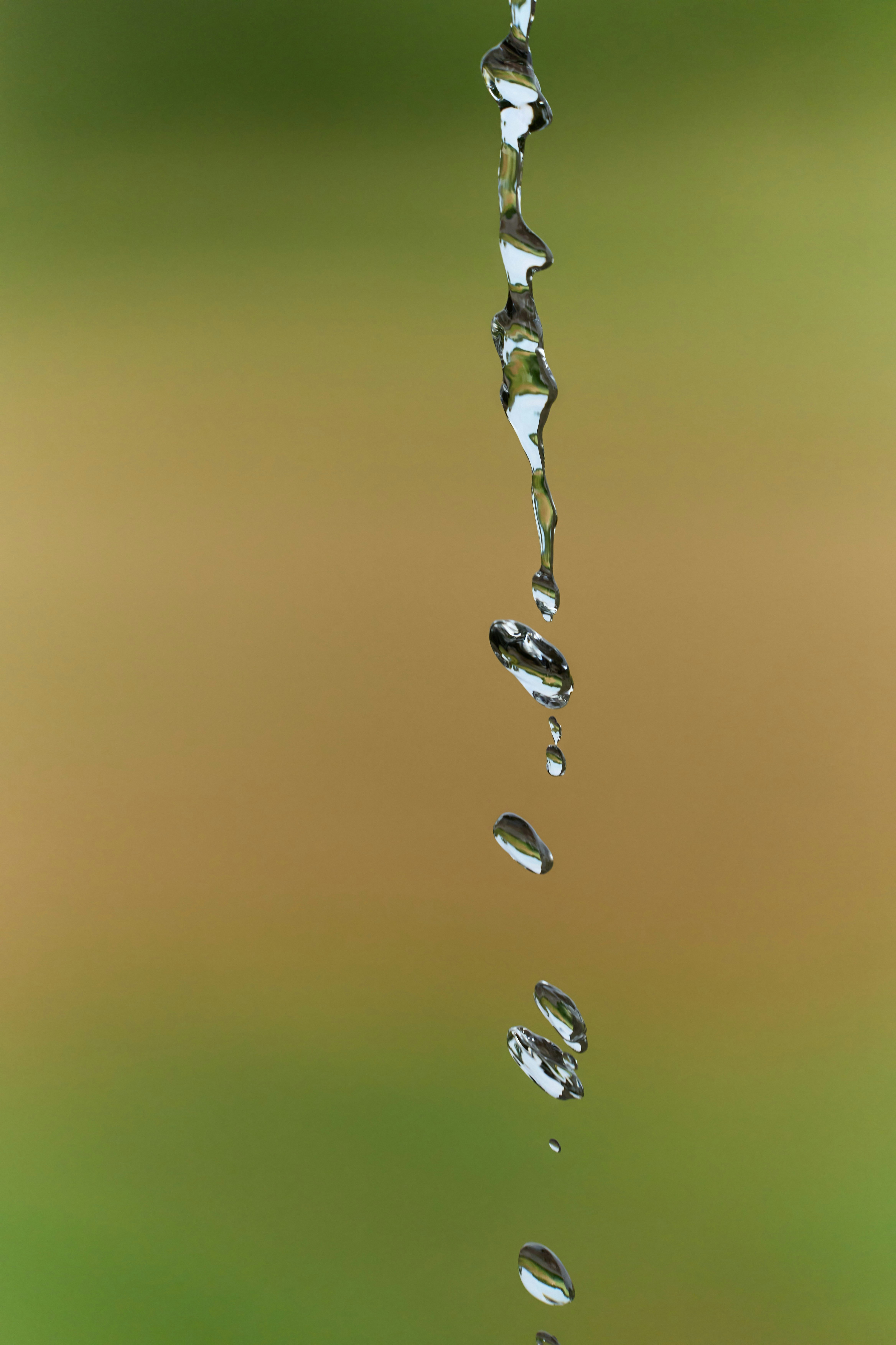 Photo by wolfgang_hasselmann