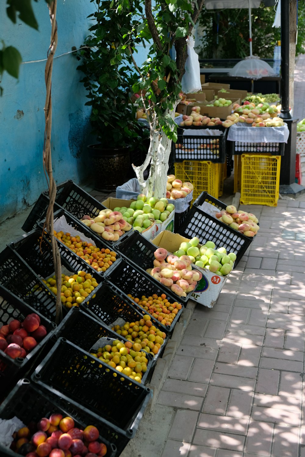 un stand de fruits avec des fruits
