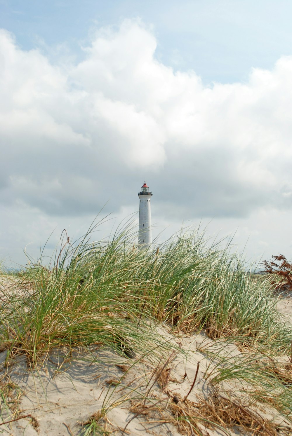 a lighthouse in the distance