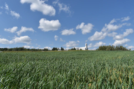 Photo of the Fazenda Passos SDA church building surrounded by green fields with a clear blue sky in Rolante, Brazil.